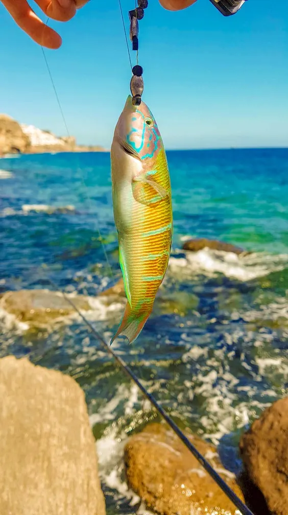 Post image from mikk992k