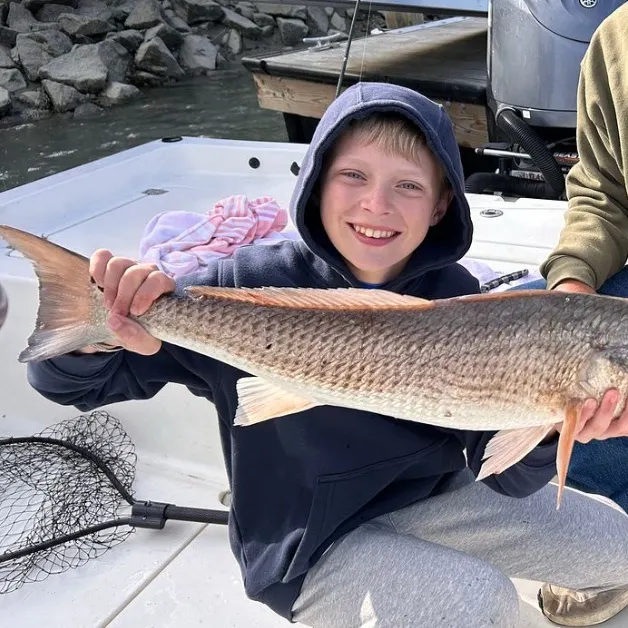 Red drum caught on Fishbrain