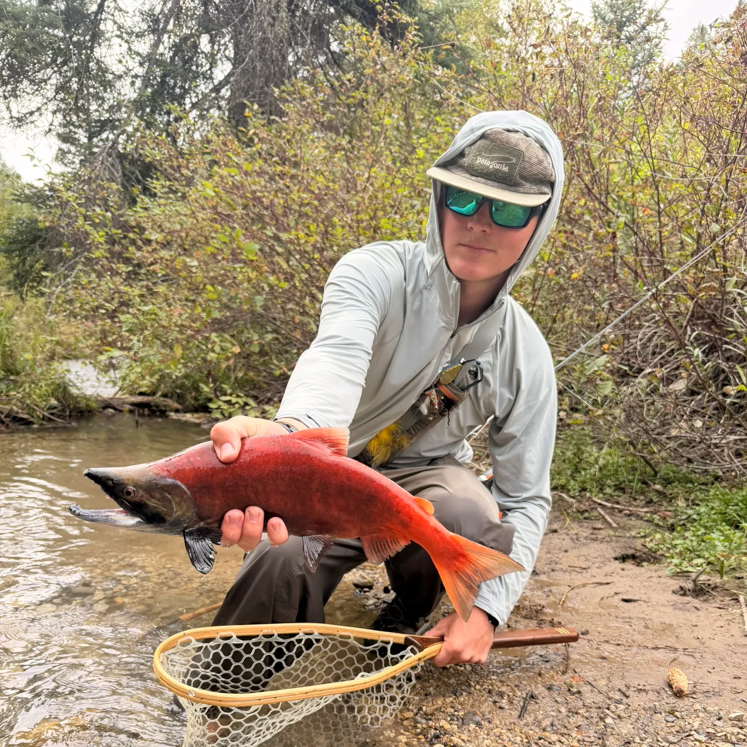 Kokanee salmon caught on Fishbrain
