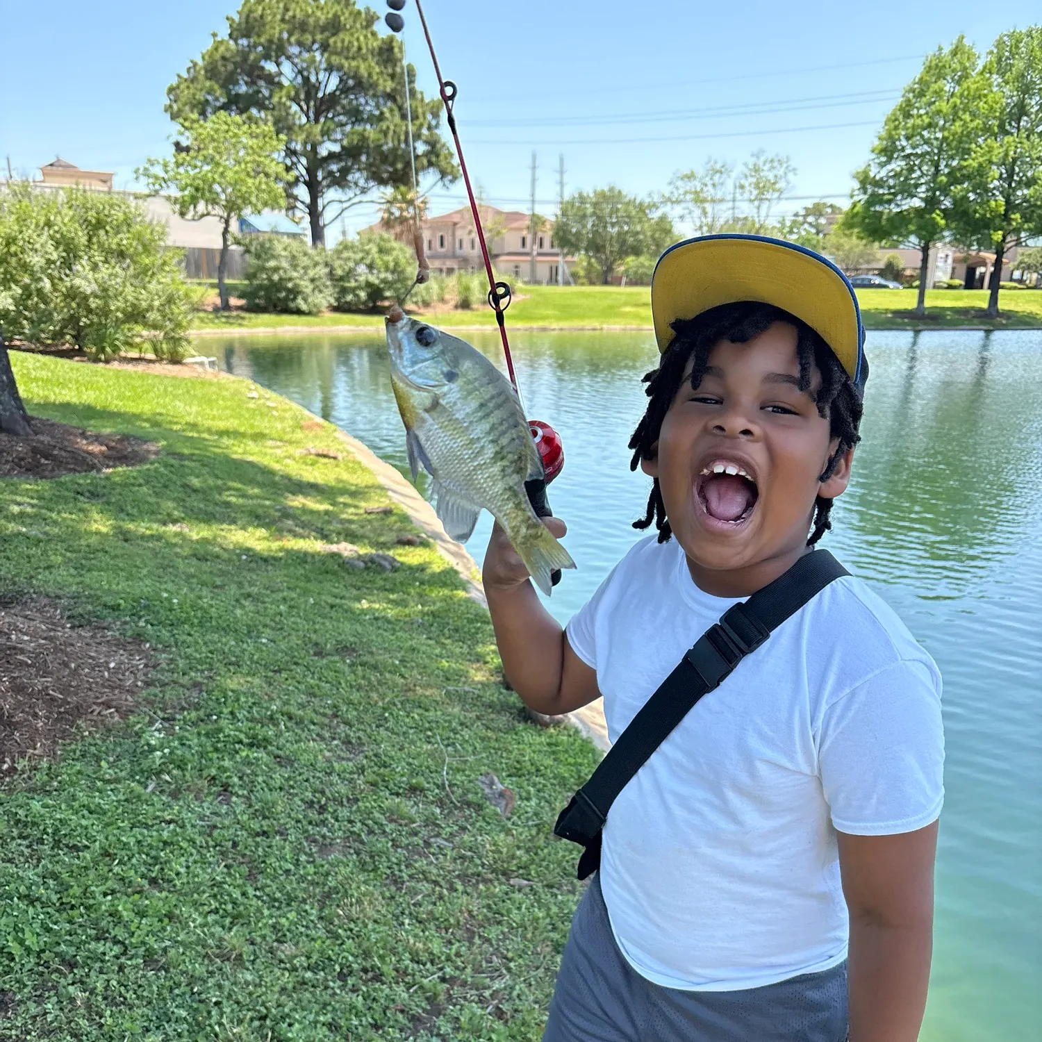 most liked catch image