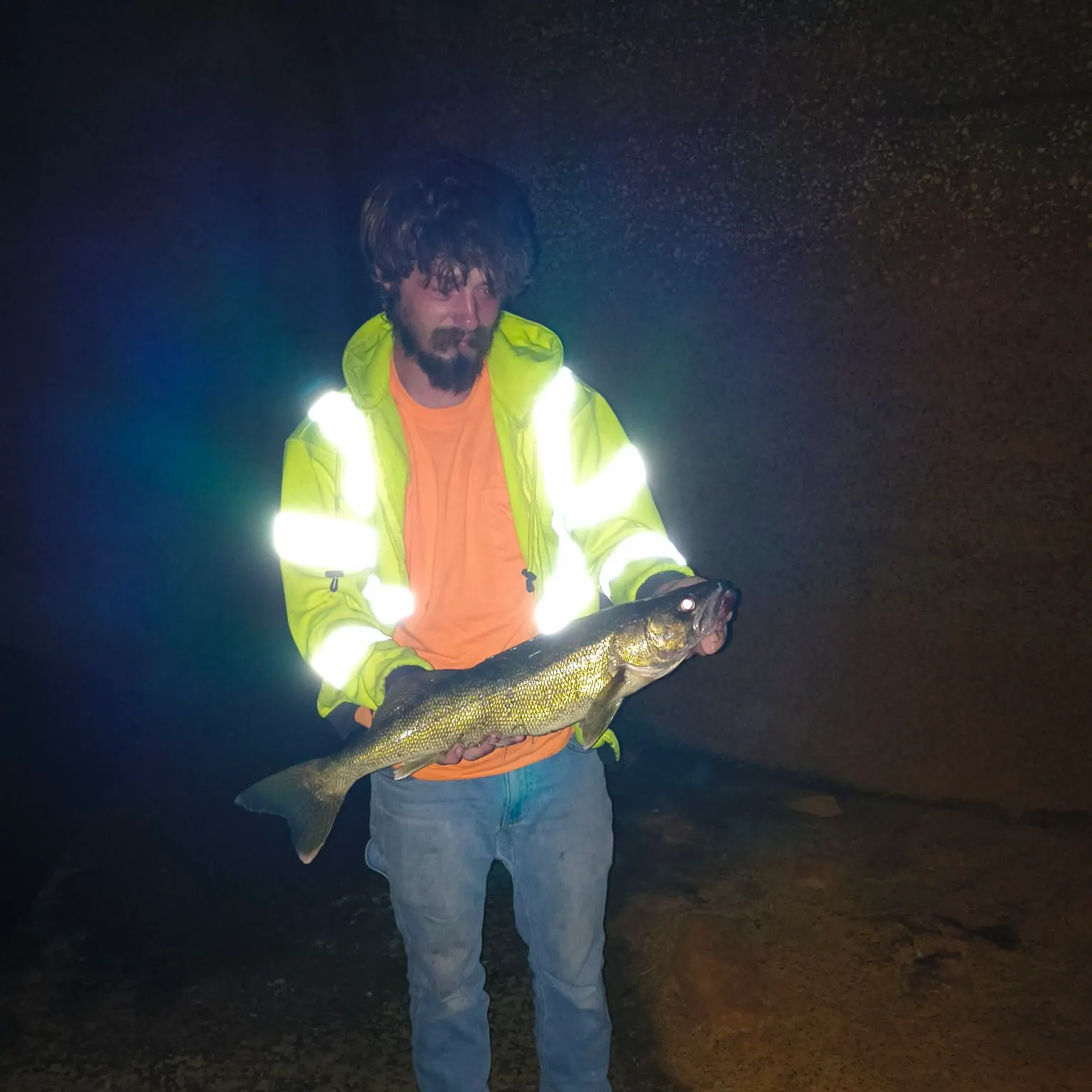 Walleye caught on Fishbrain