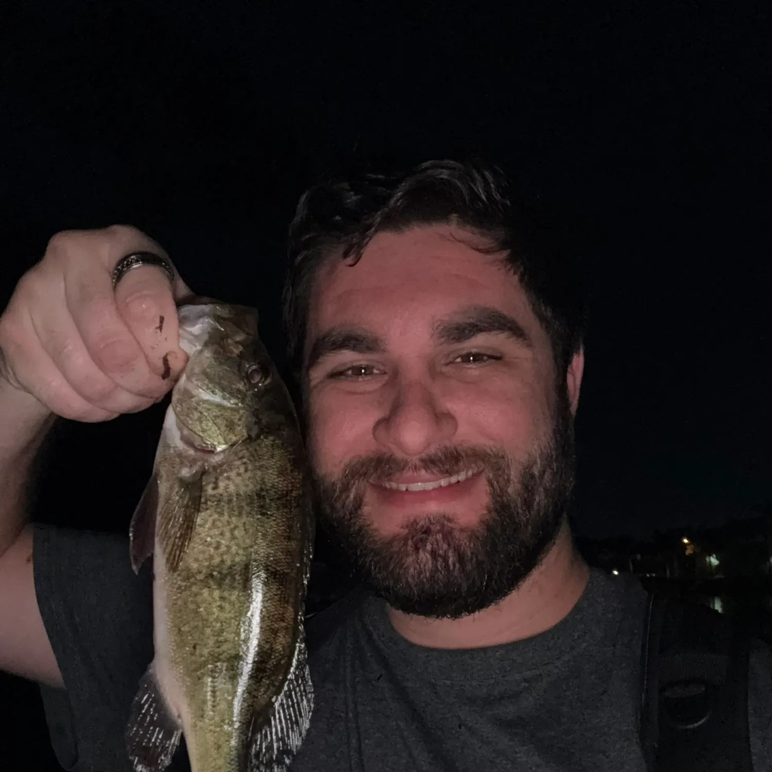 The most recent Butterfly peacock bass catches on Fishbrain
