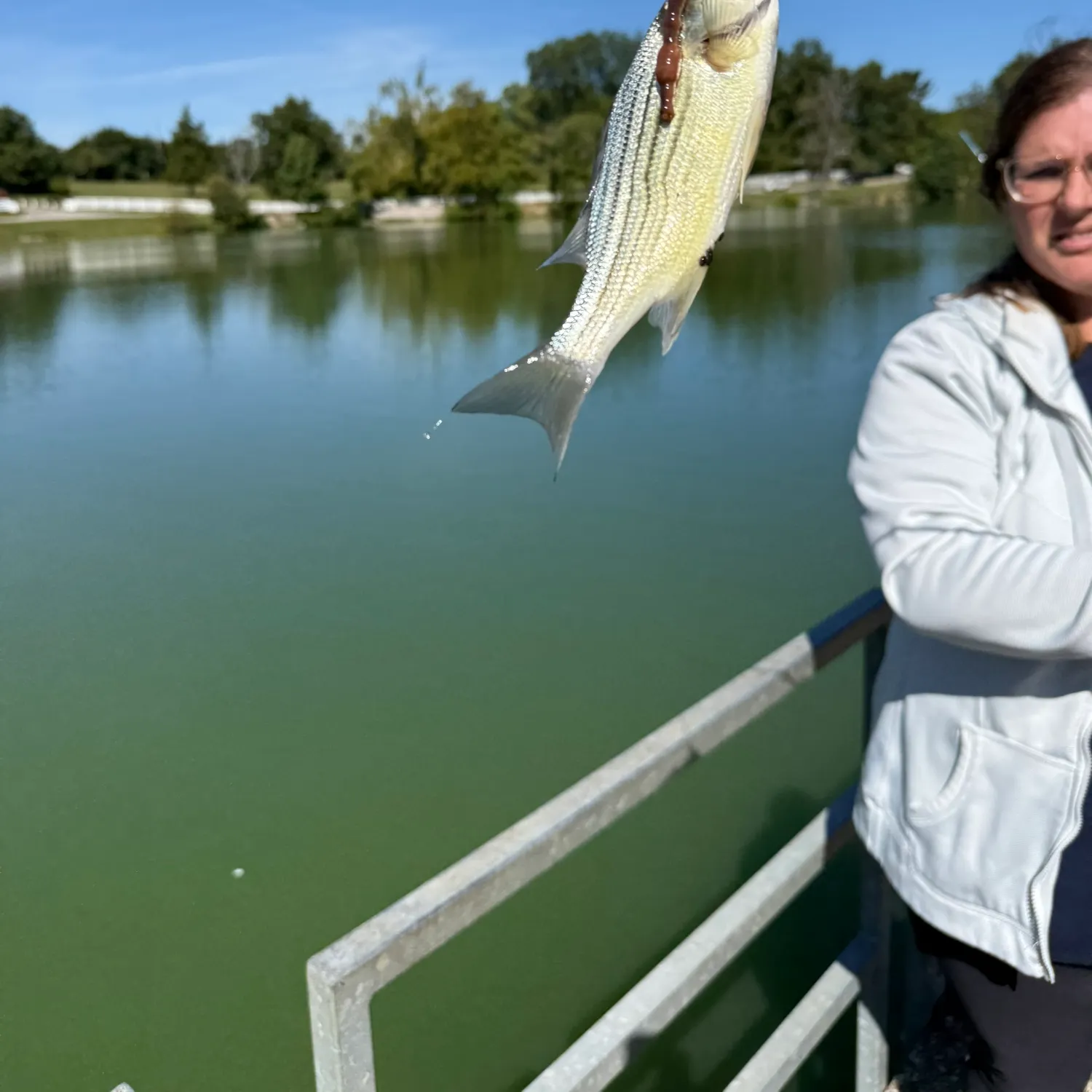 Fish caught on Fishbrain