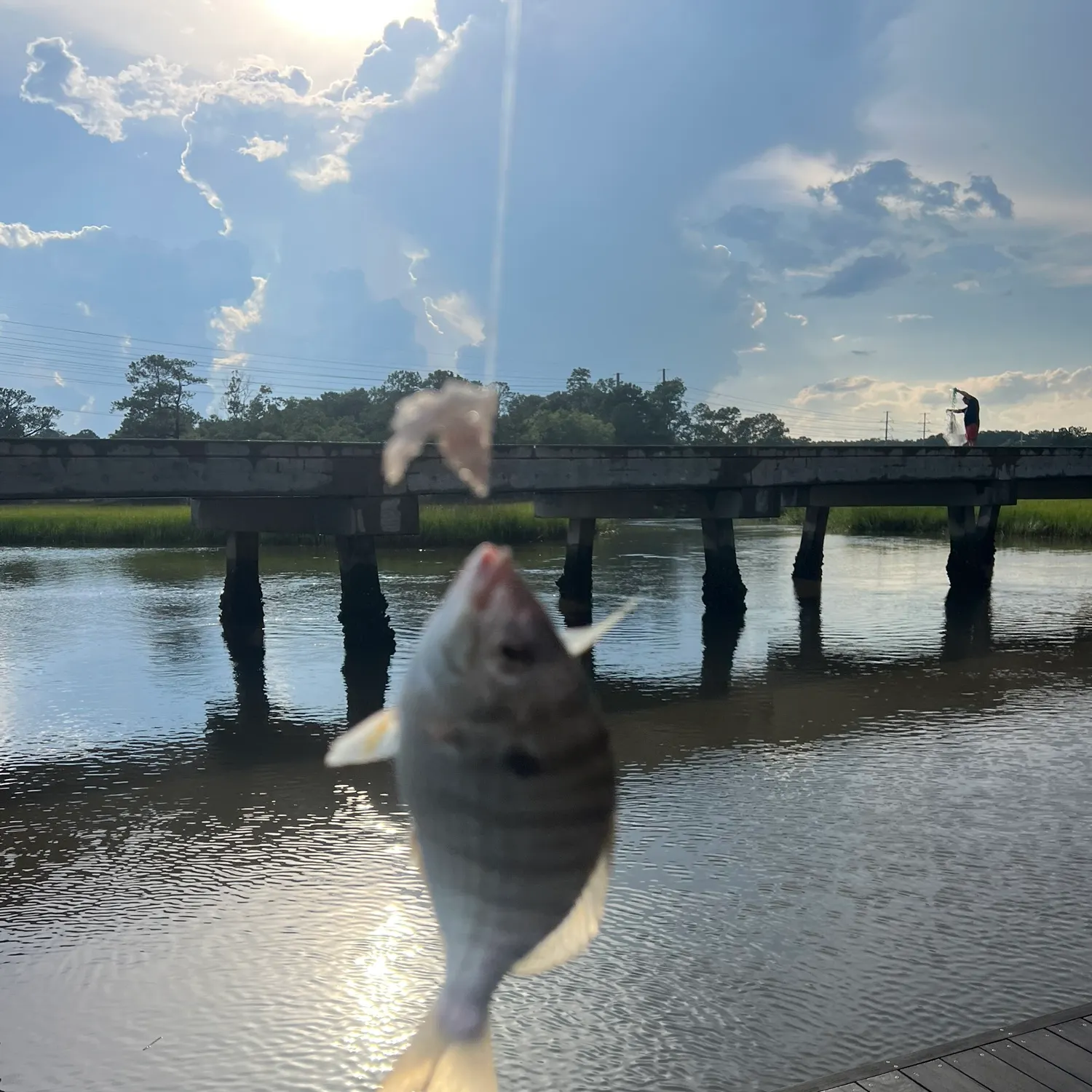 catch