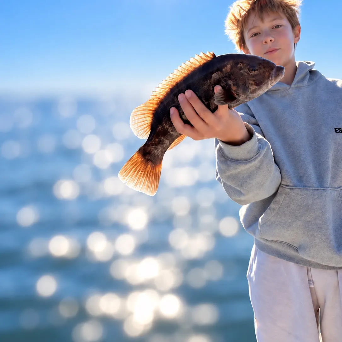Tautog caught on Fishbrain
