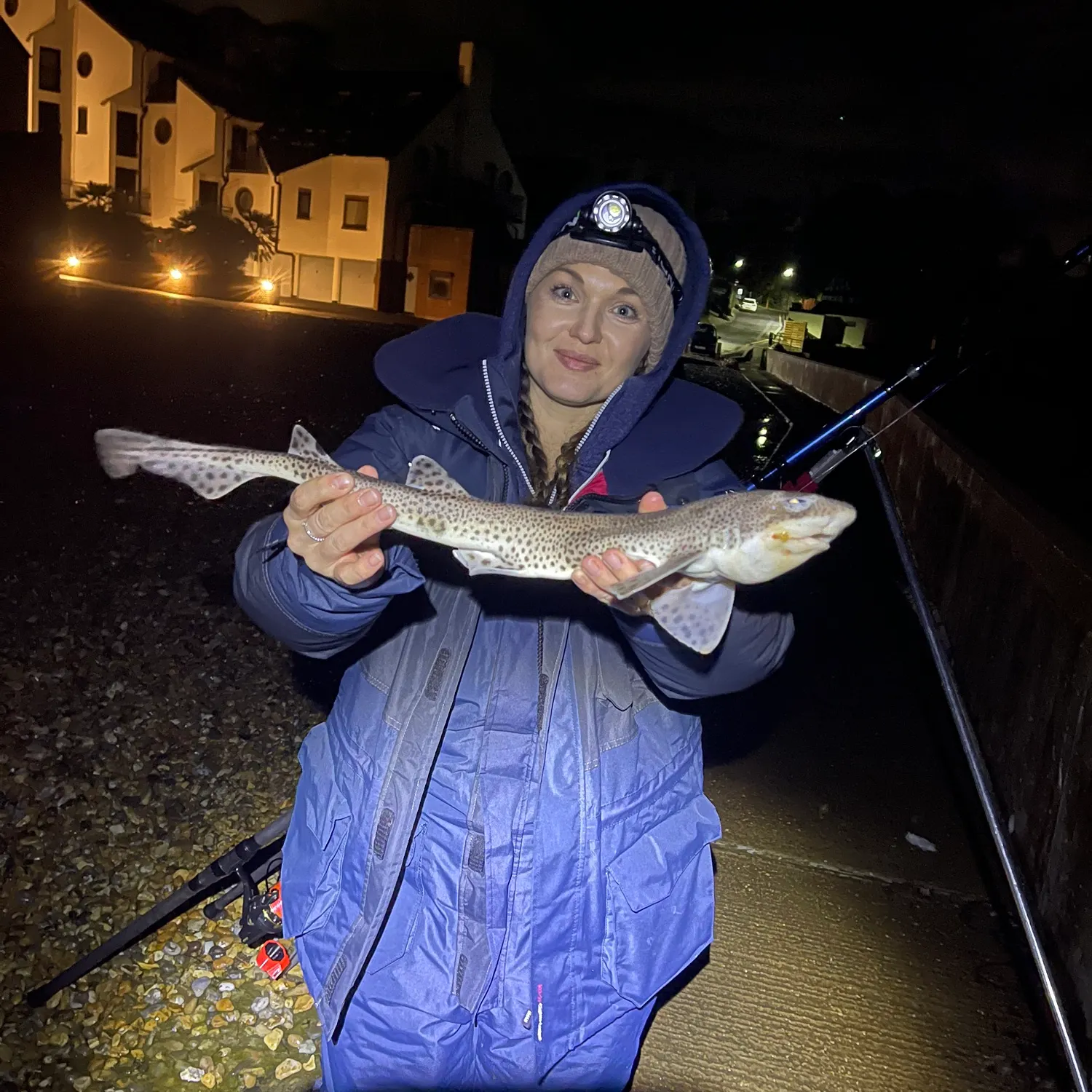 The most recent Lesser spotted dogfish catches on Fishbrain