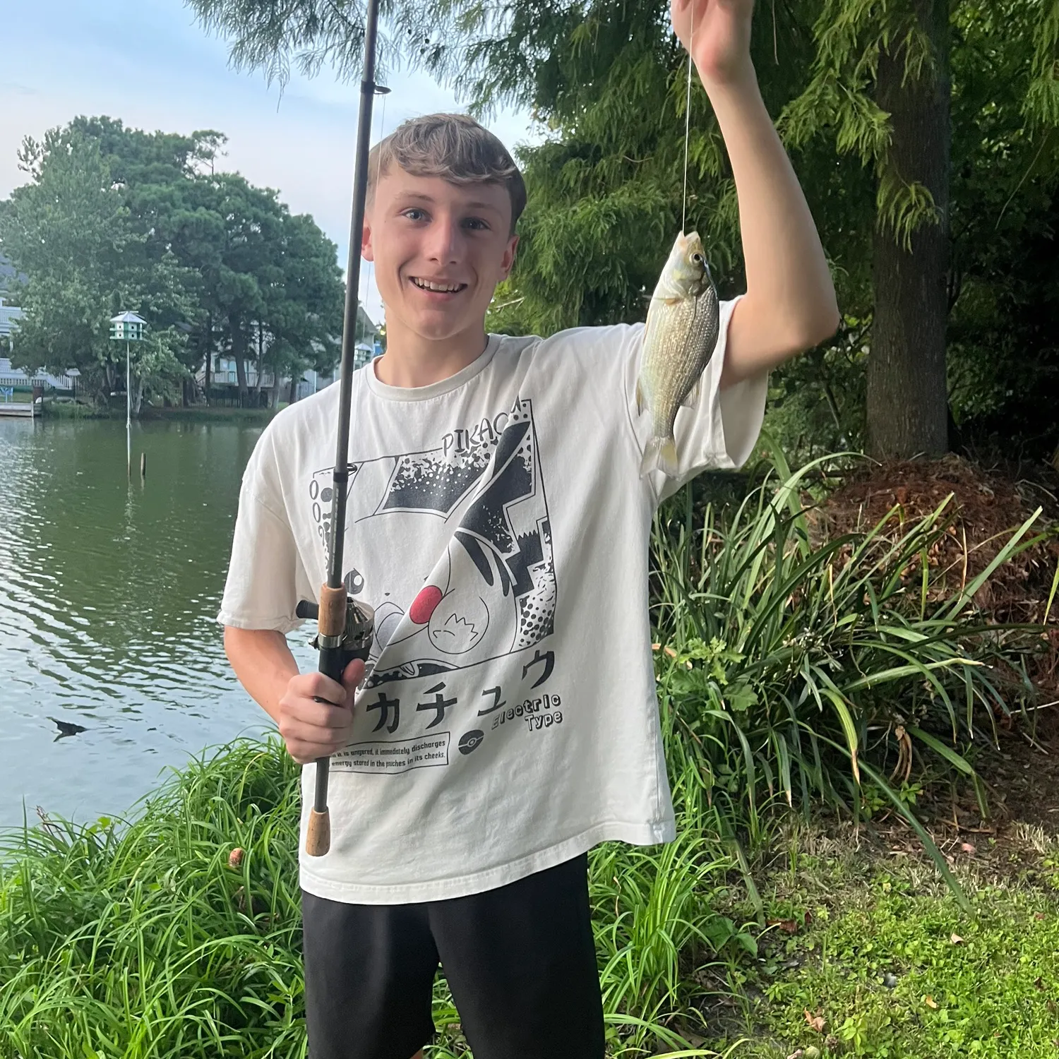 Bluegill caught on Fishbrain