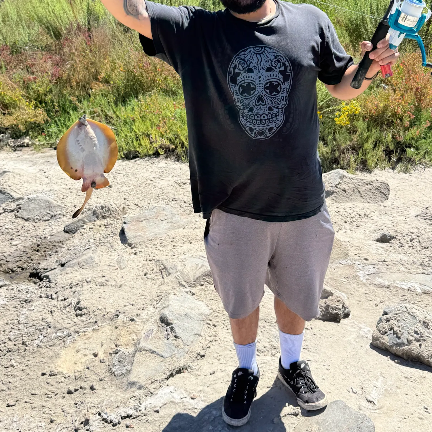The most recent Smooth back river stingray catches on Fishbrain