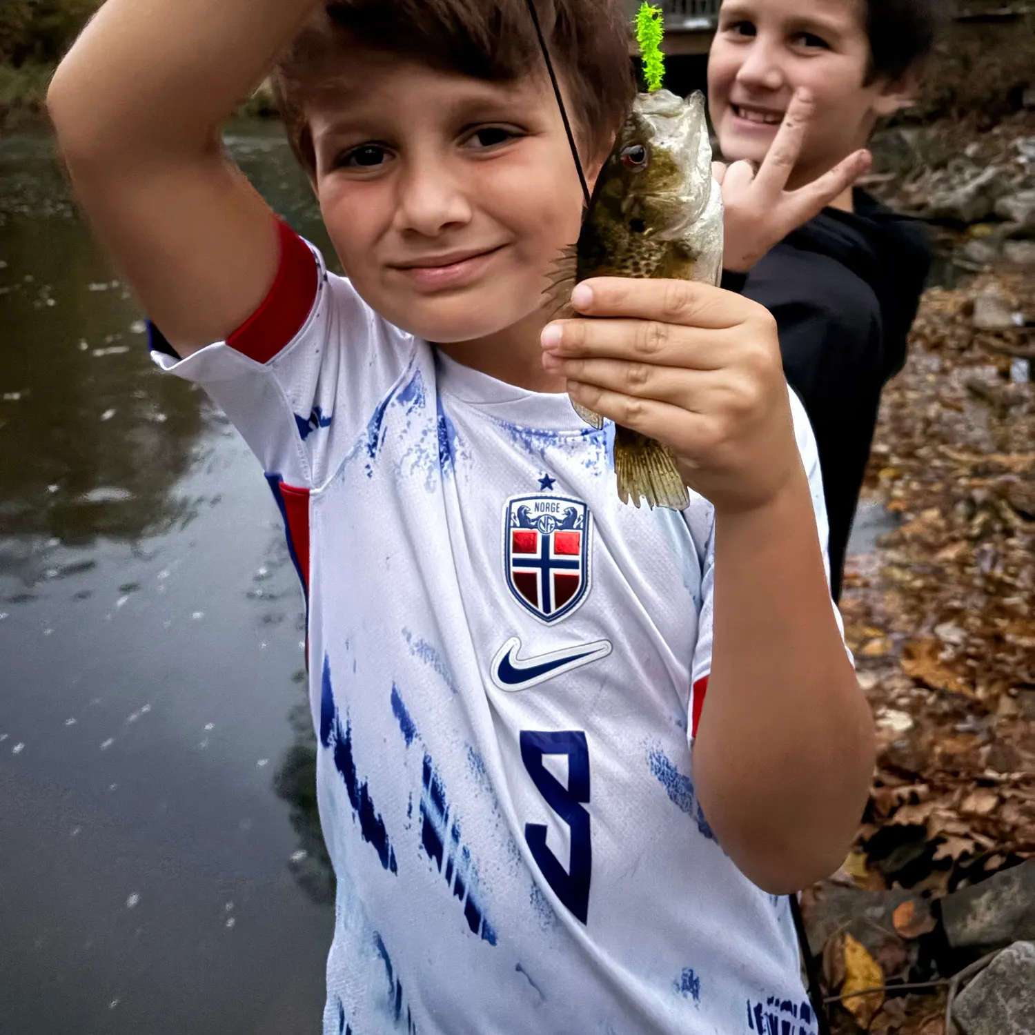 Rock bass caught on Fishbrain