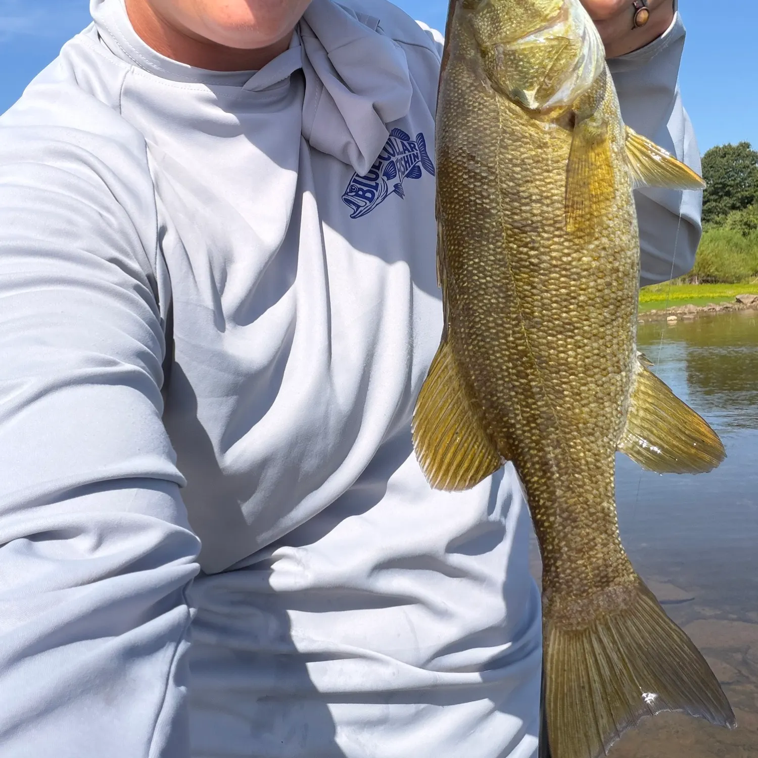 Smallmouth bass caught on Fishbrain