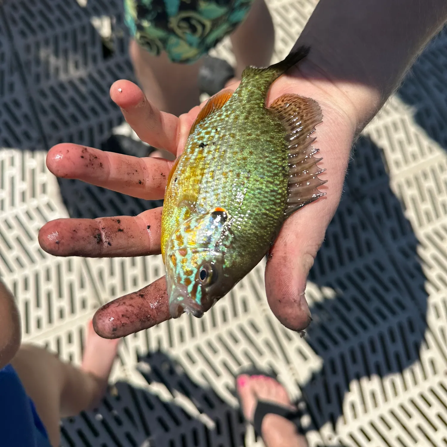 catch