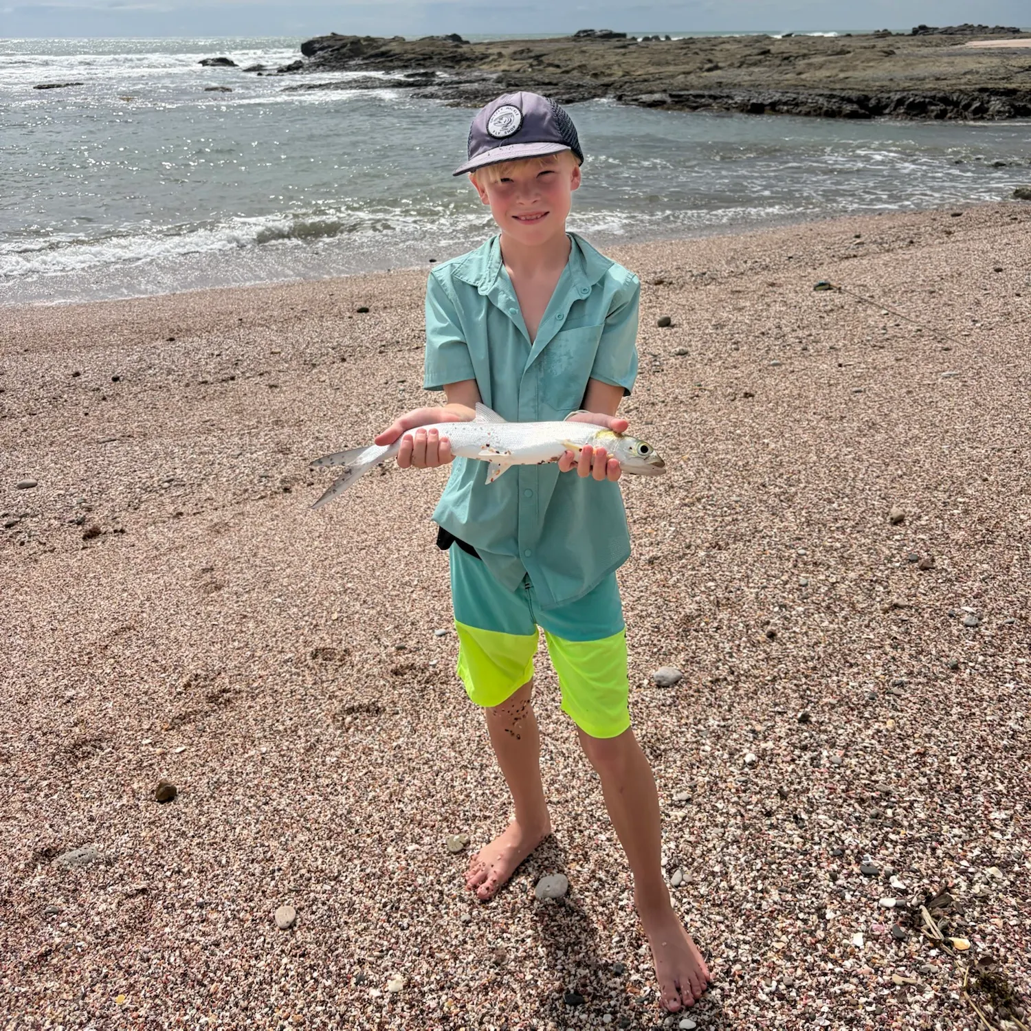 Ladyfish caught on Fishbrain