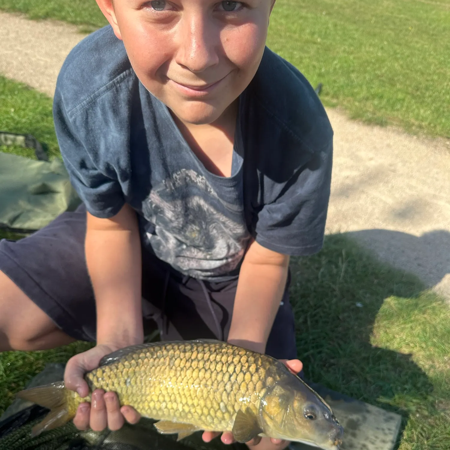 Common carp caught on Fishbrain