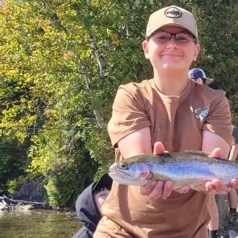 Rainbow trout caught on Fishbrain
