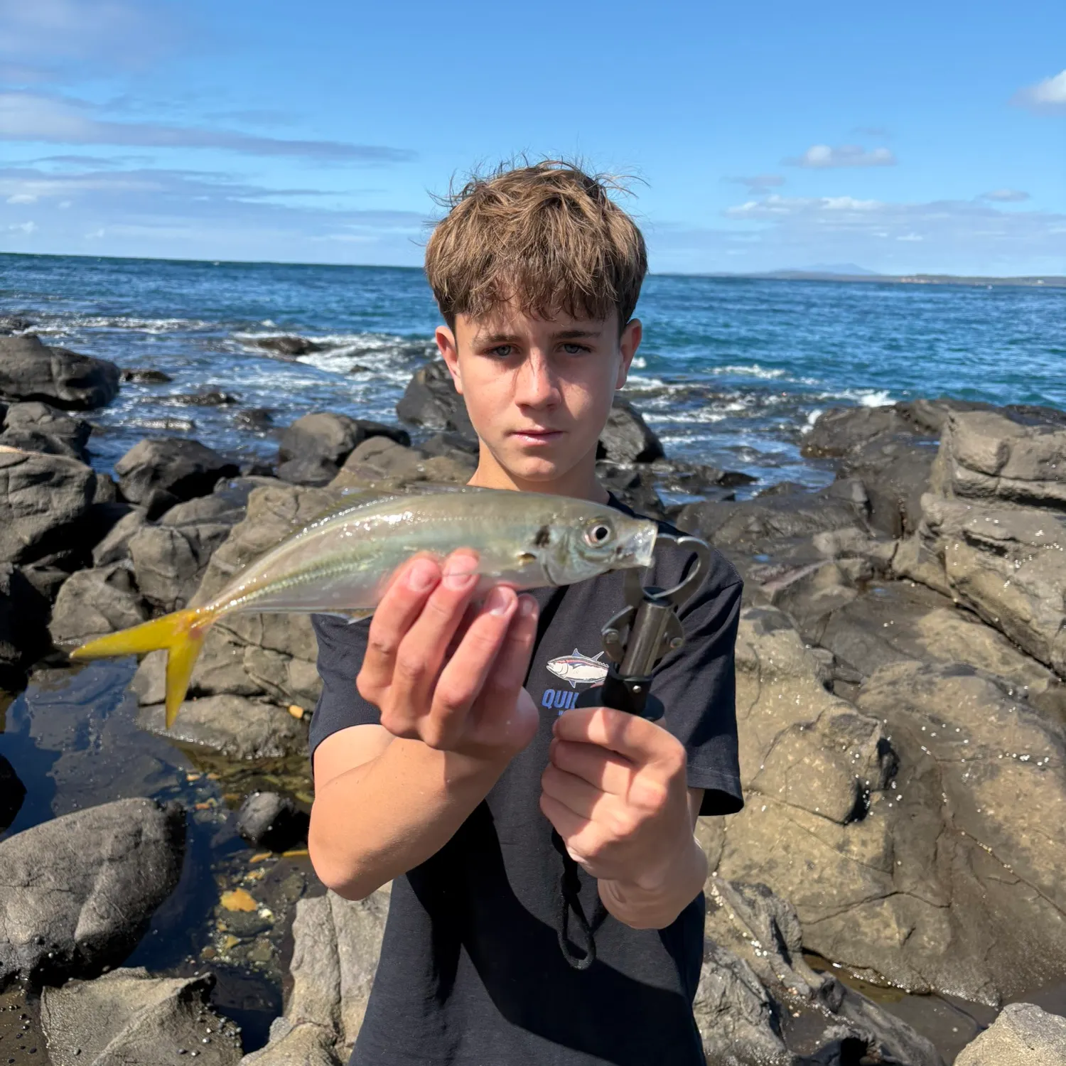 Yellowtail scad caught on Fishbrain