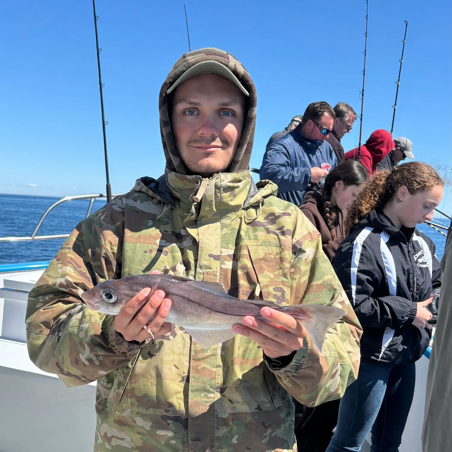 The most recent Haddock catches on Fishbrain