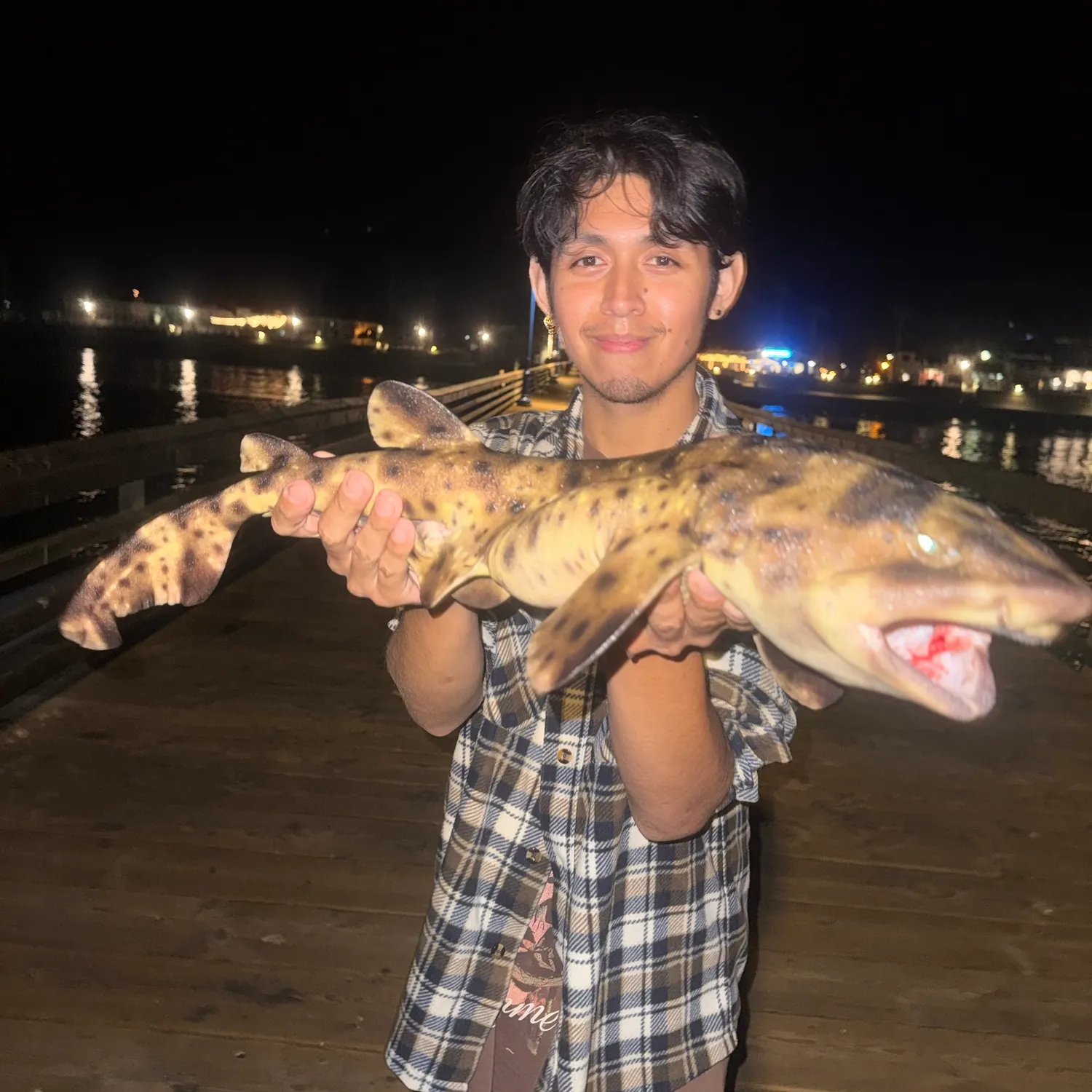 The most recent Swellshark catches on Fishbrain