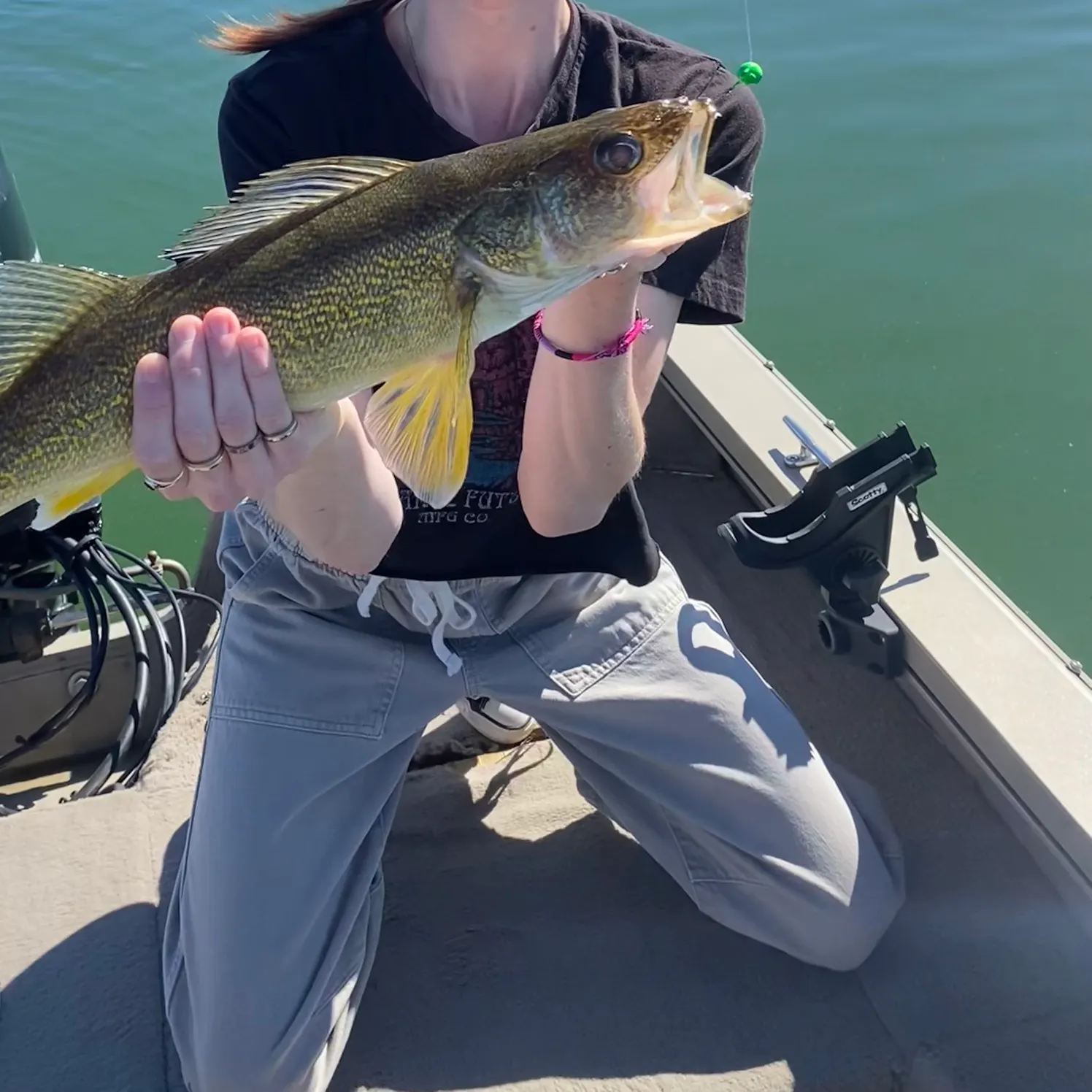 Walleye caught on Fishbrain
