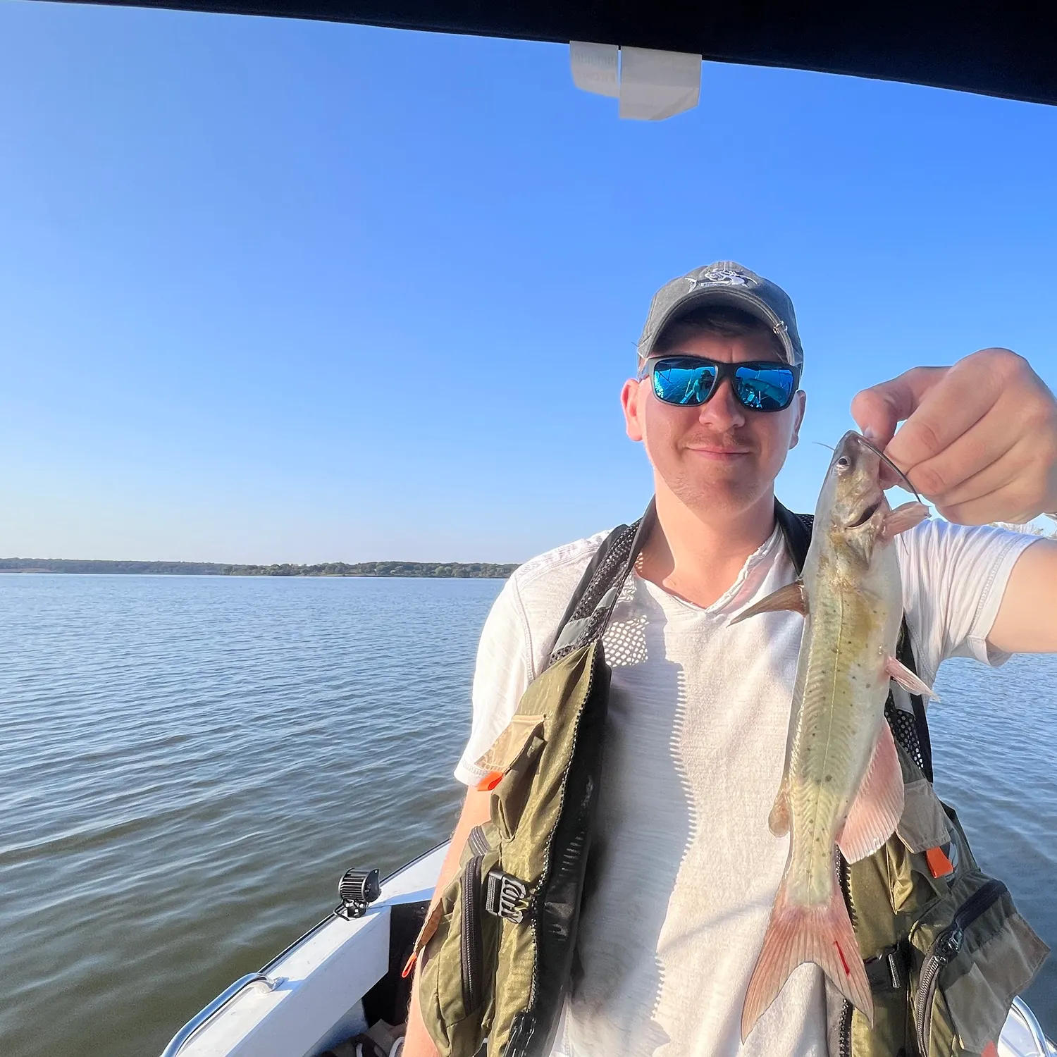 Channel catfish caught on Fishbrain
