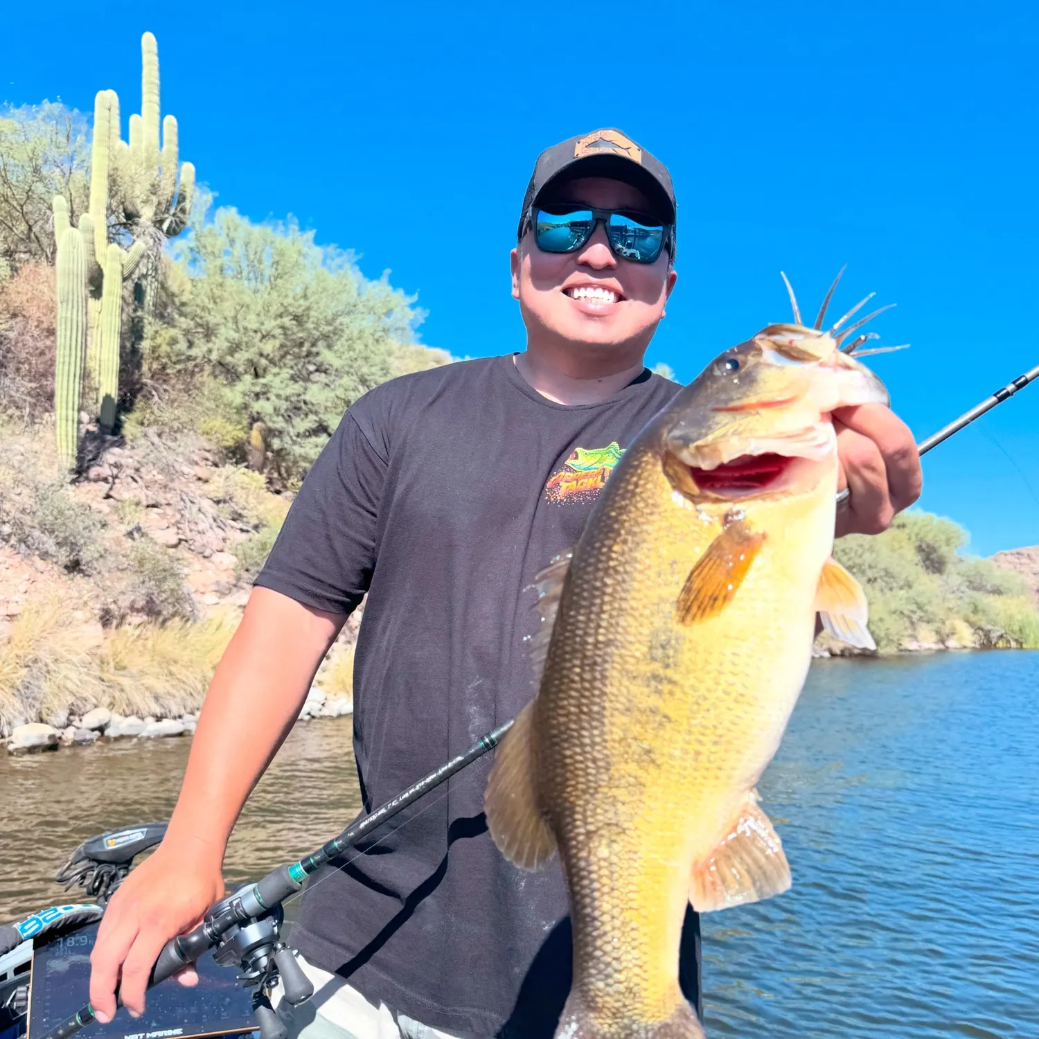 Largemouth bass caught on Fishbrain