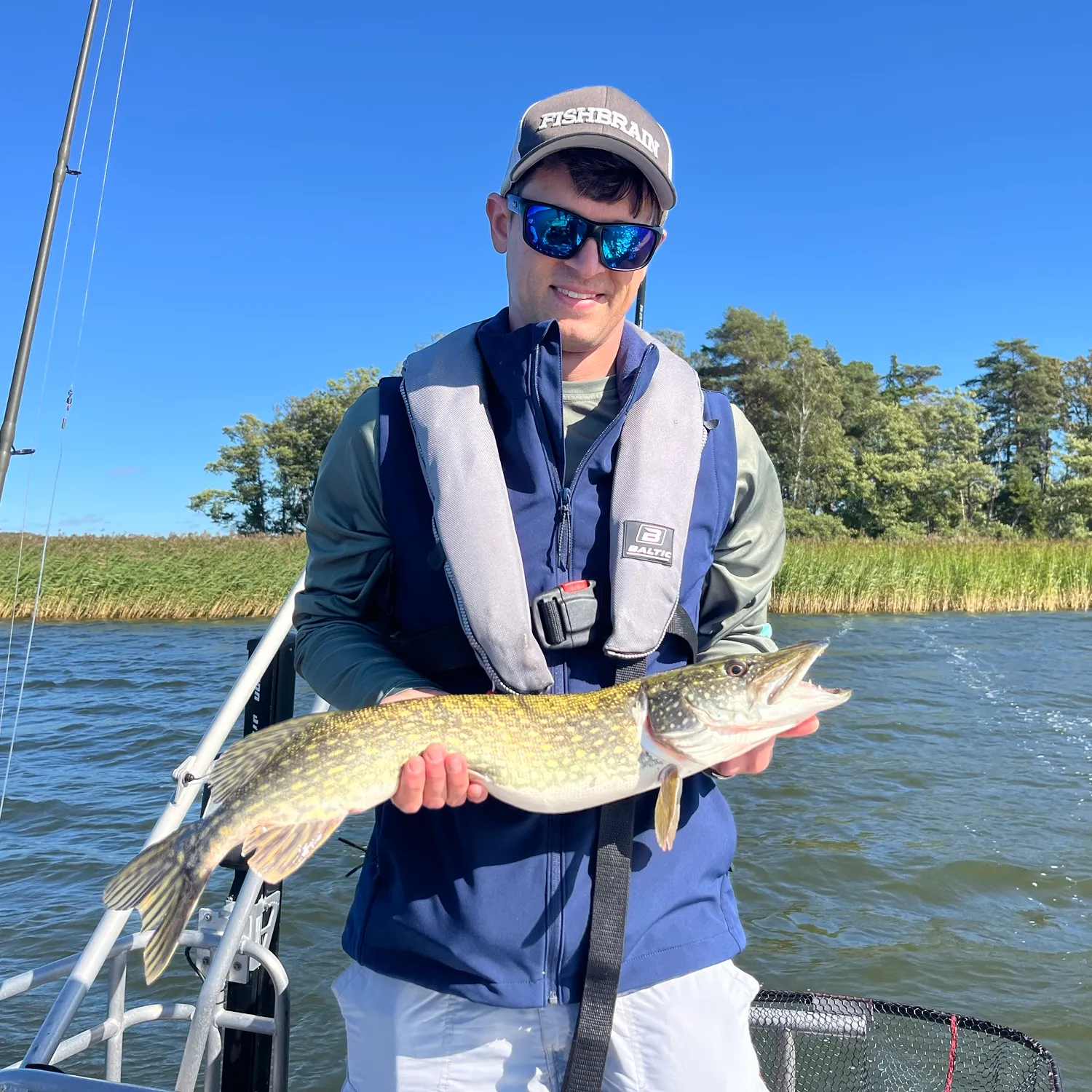 Northern pike caught on Fishbrain