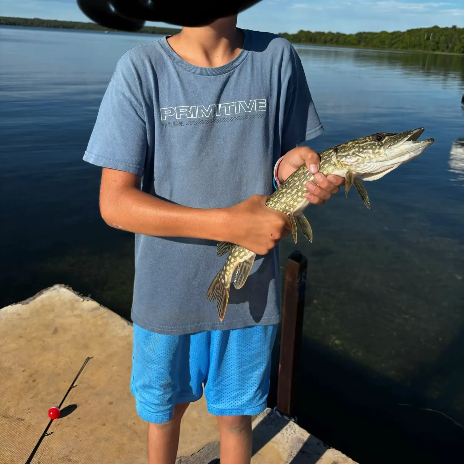 Northern pike caught on Fishbrain