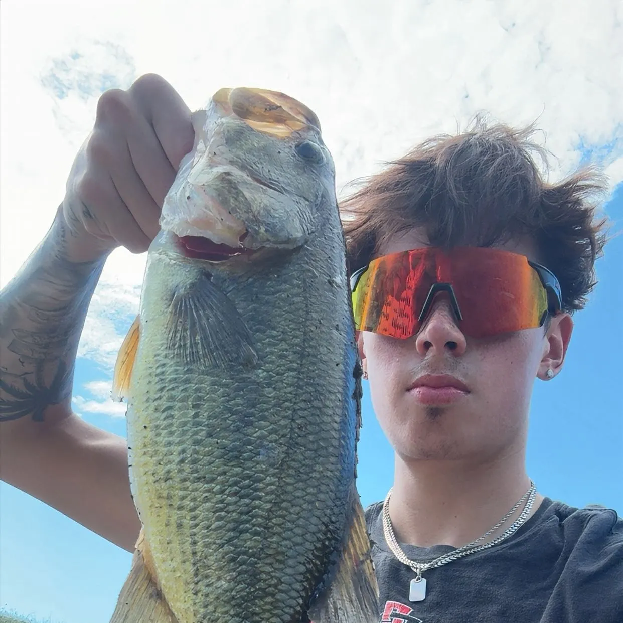 Largemouth bass caught on Fishbrain