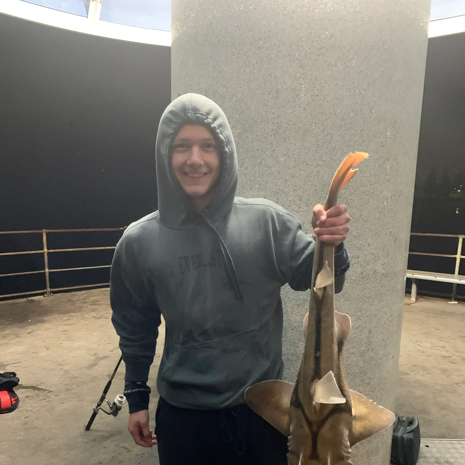 Port Jackson shark caught on Fishbrain