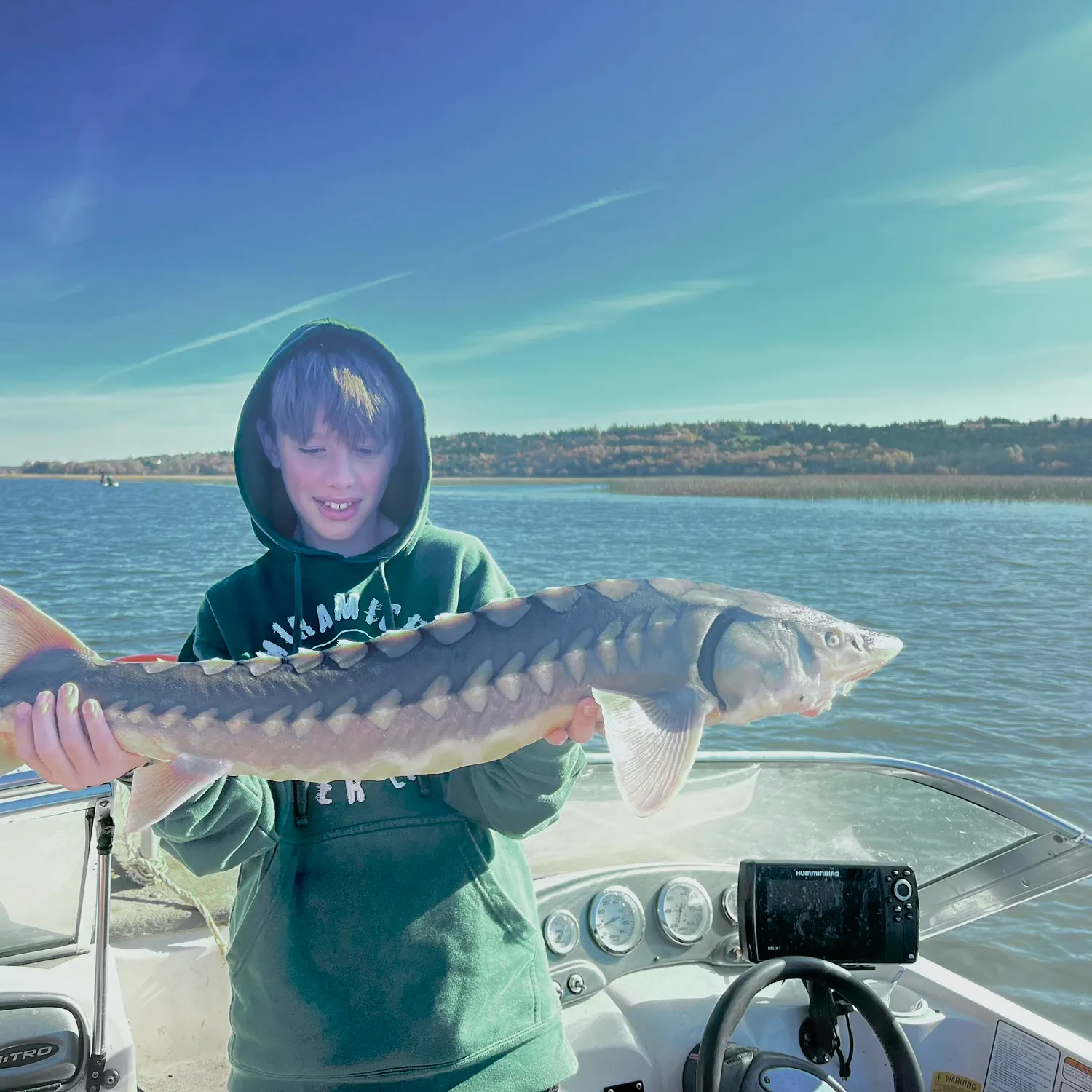The most recent Shortnose sturgeon catches on Fishbrain