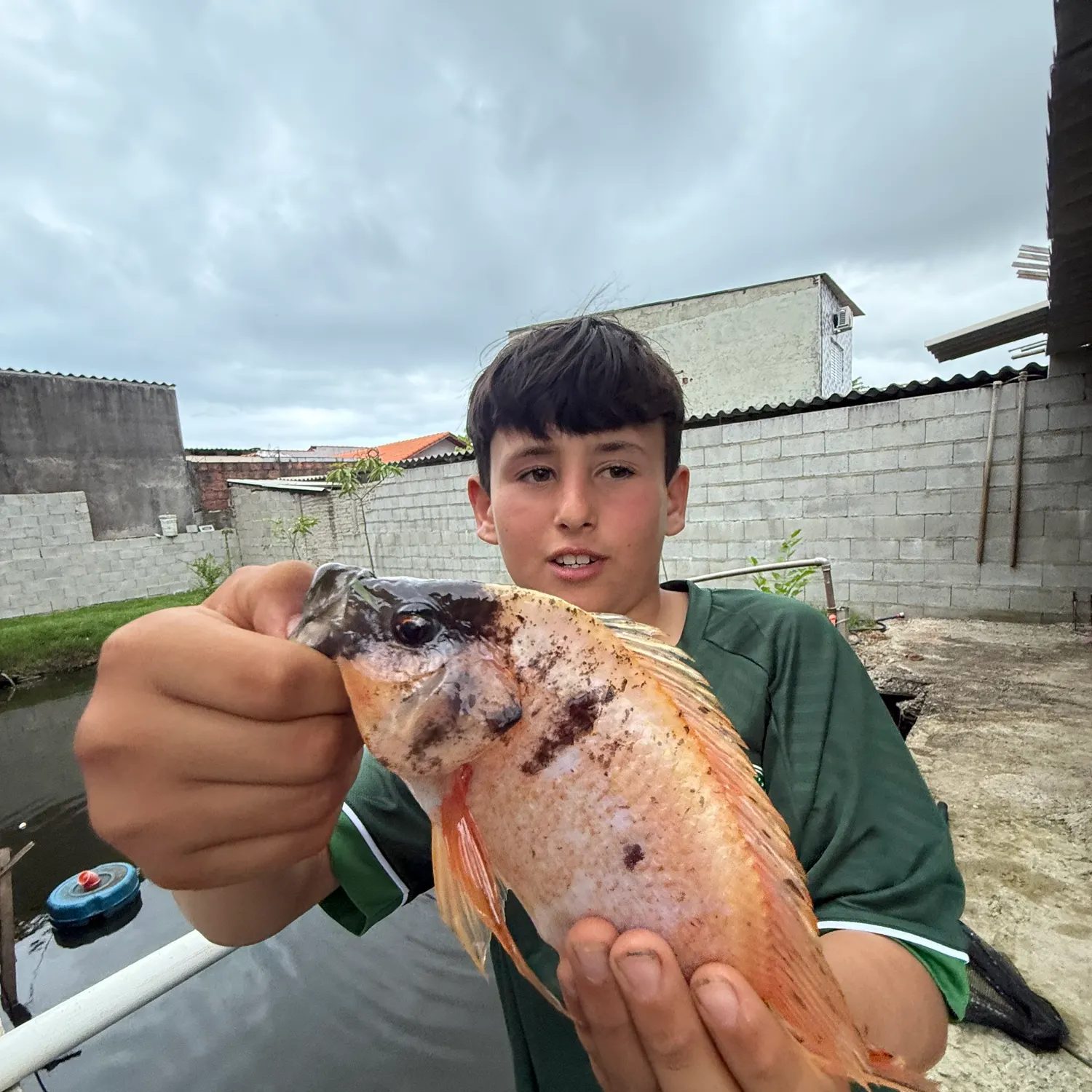 The most recent Red tilapia catches on Fishbrain