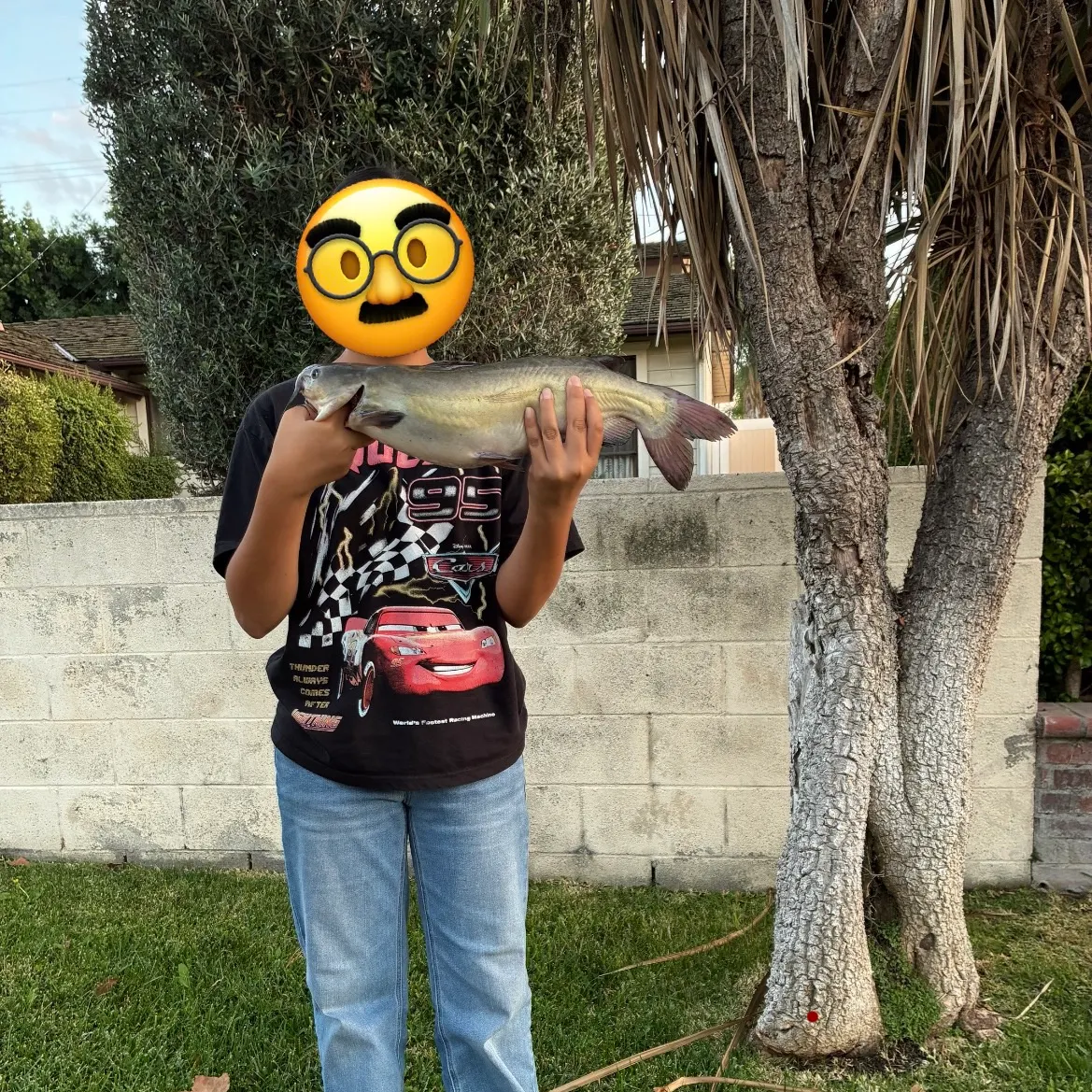 Channel catfish caught on Fishbrain