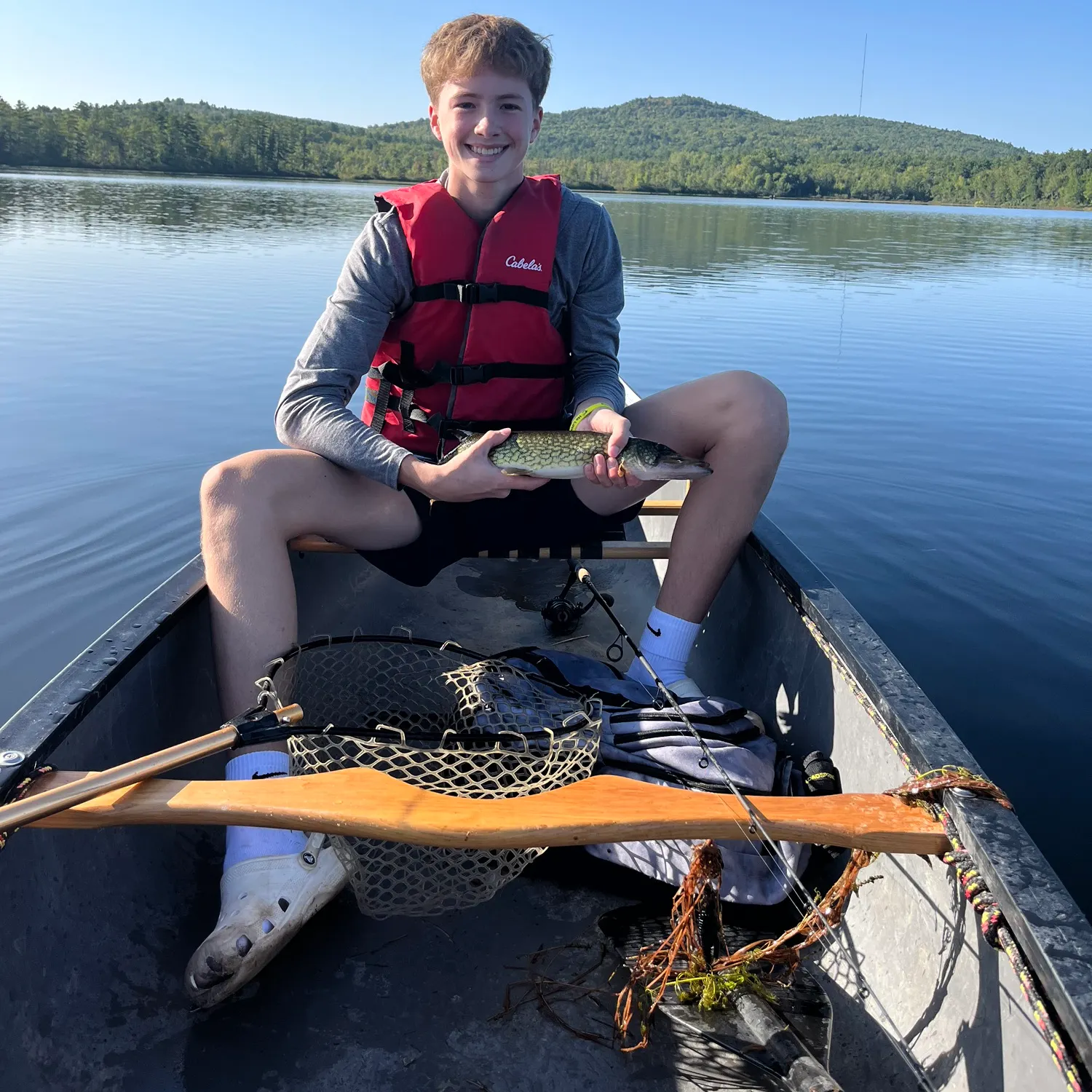 Chain pickerel caught on Fishbrain