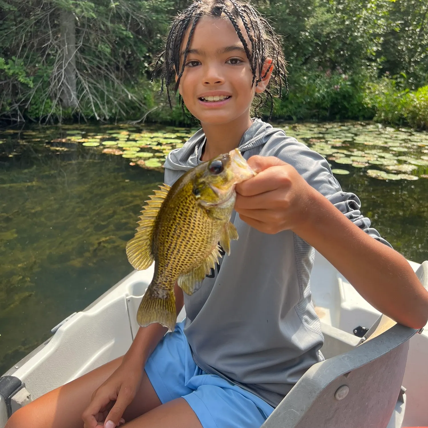 Rock bass caught on Fishbrain