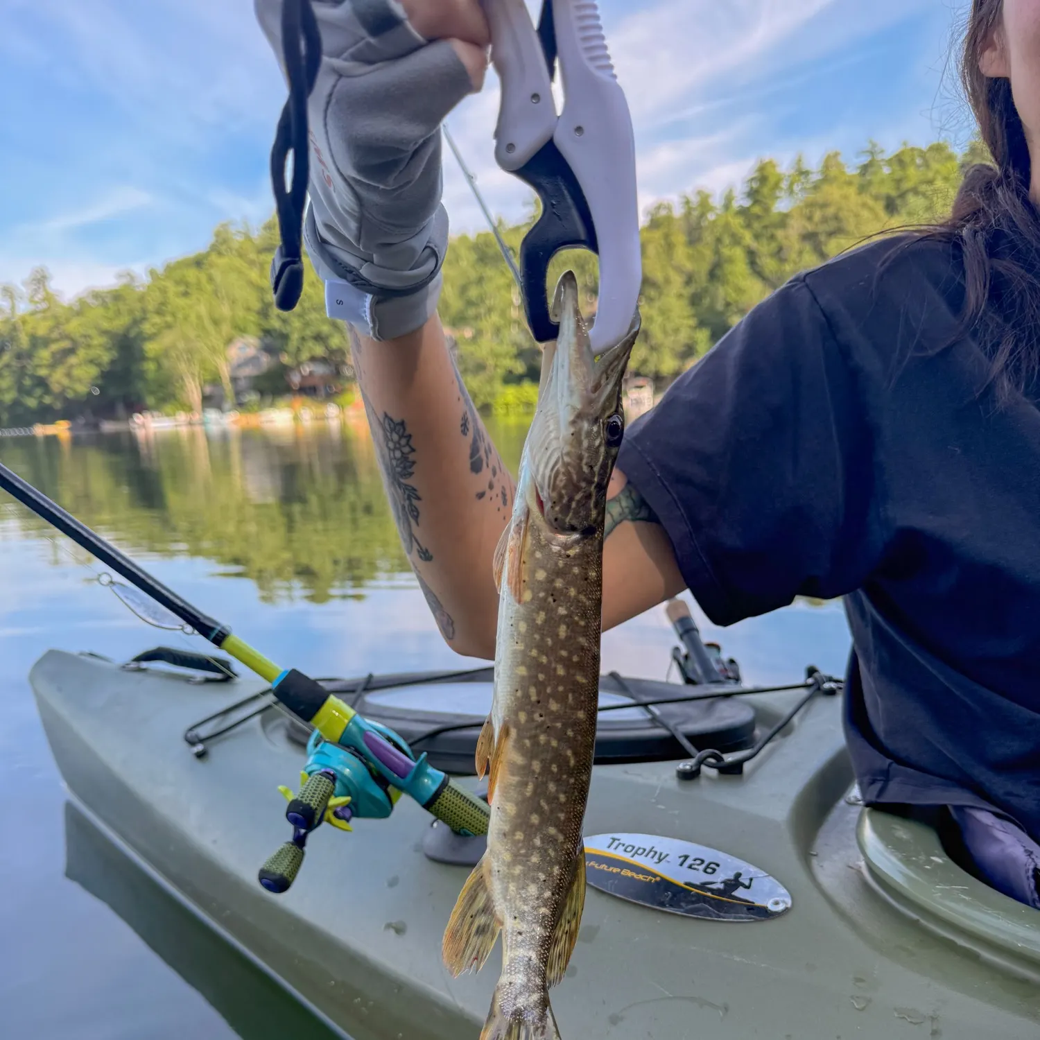 recently logged catches