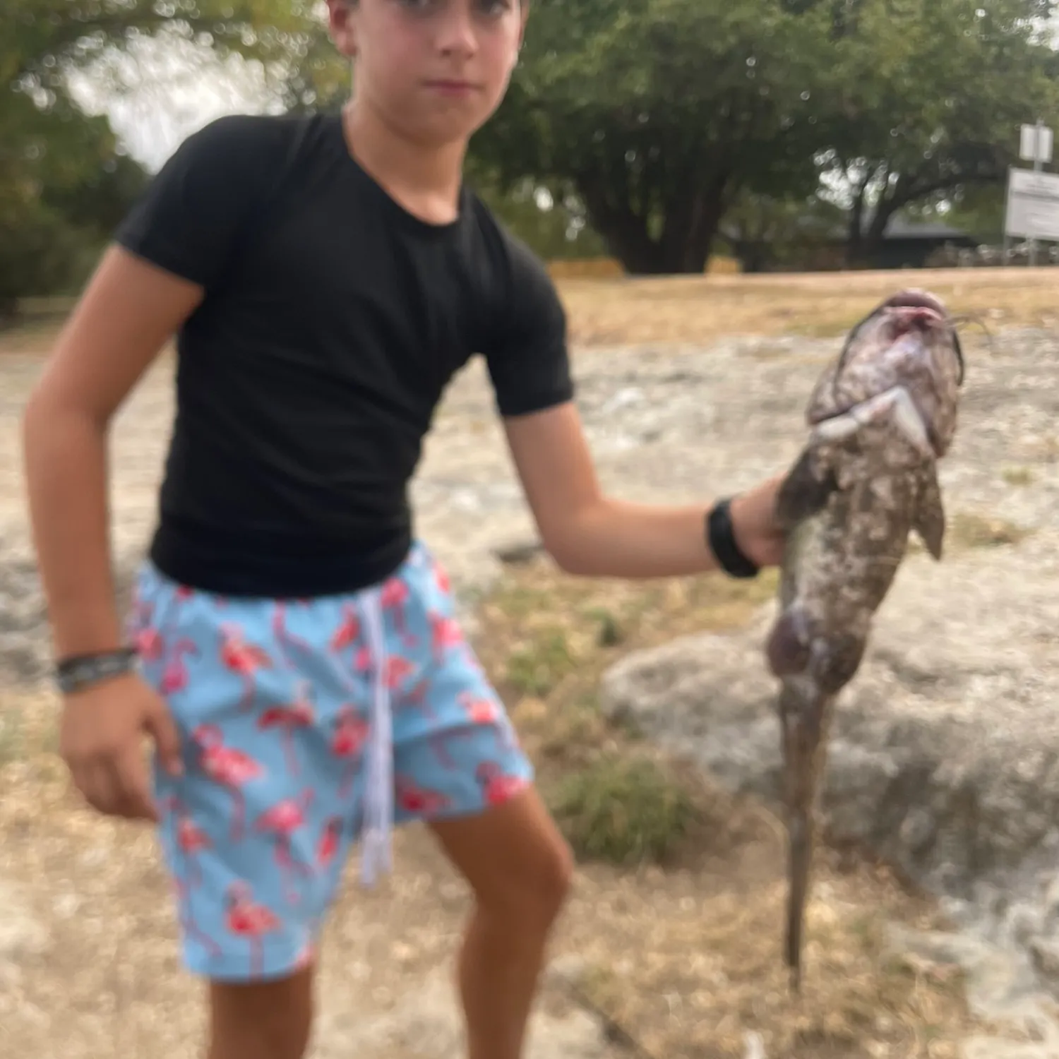 Channel catfish caught on Fishbrain