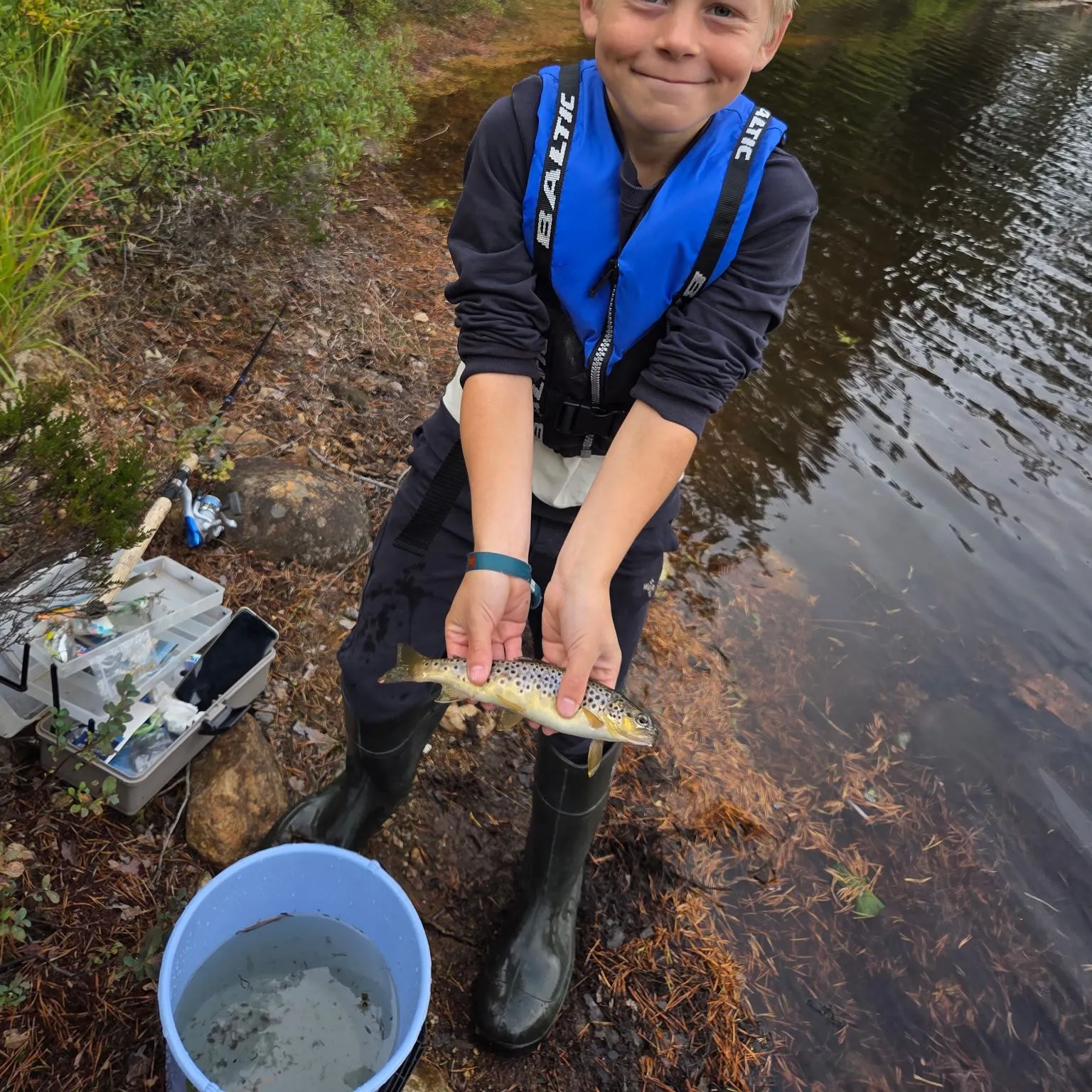 Brown trout caught on Fishbrain