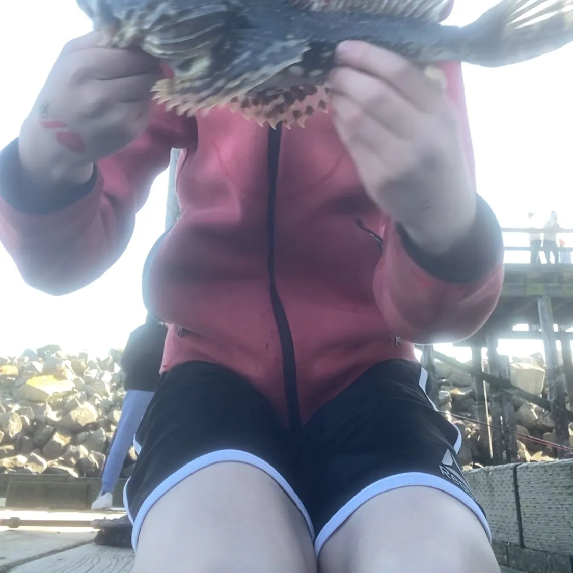 The most recent Great sculpin catches on Fishbrain