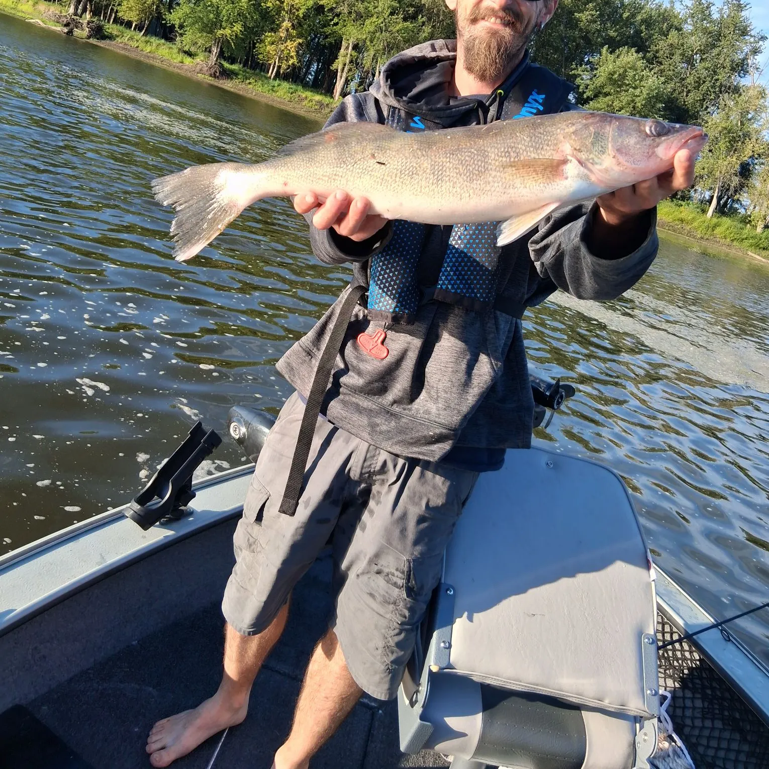 Walleye caught on Fishbrain