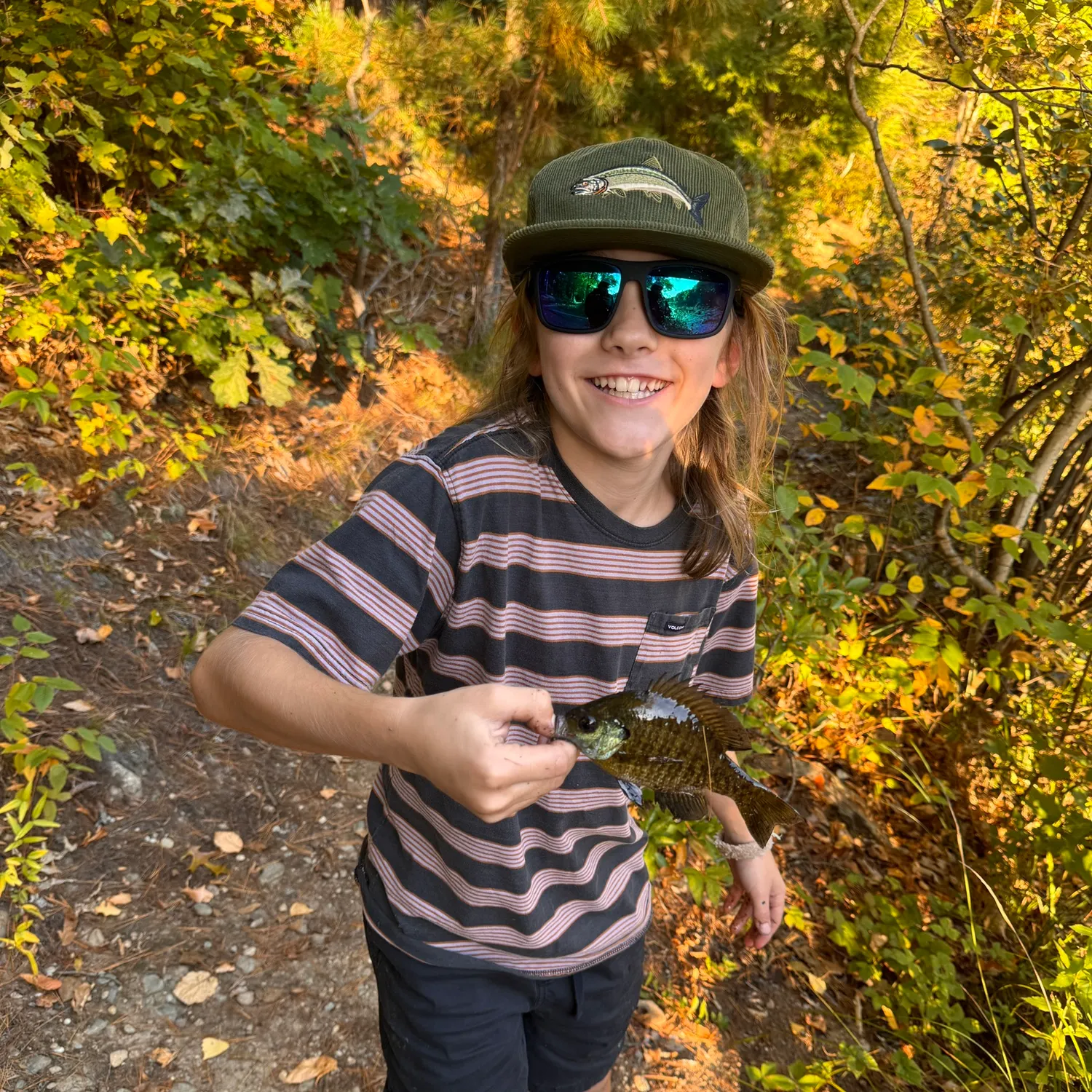 Bluegill caught on Fishbrain