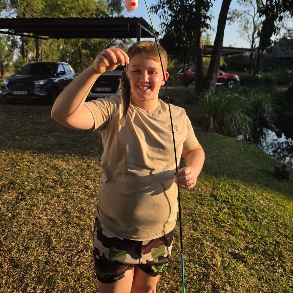 The most recent Mozambique tilapia catches on Fishbrain
