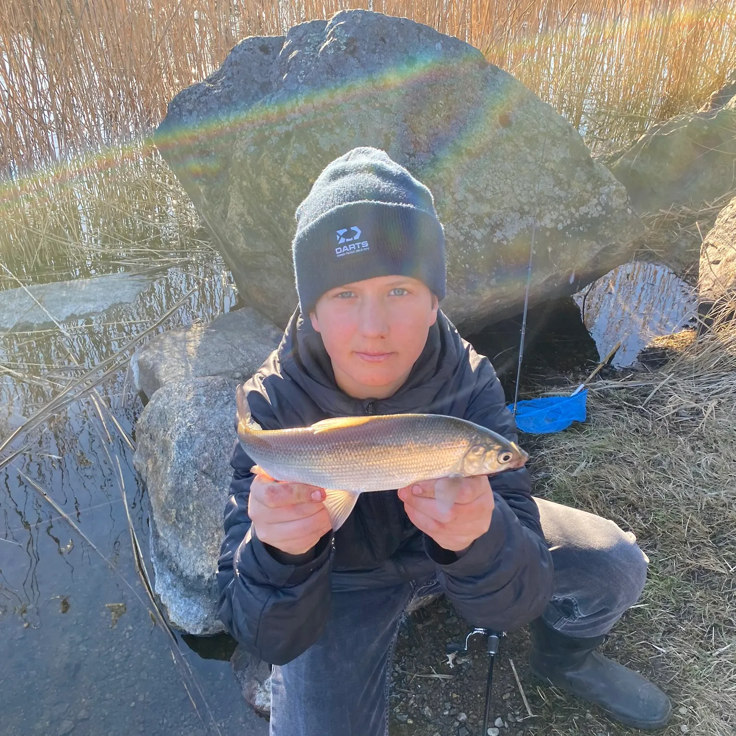 The most recent Lake whitefish catches on Fishbrain