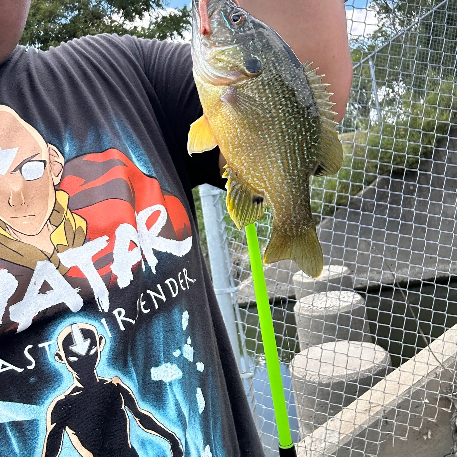 Green sunfish caught on Fishbrain