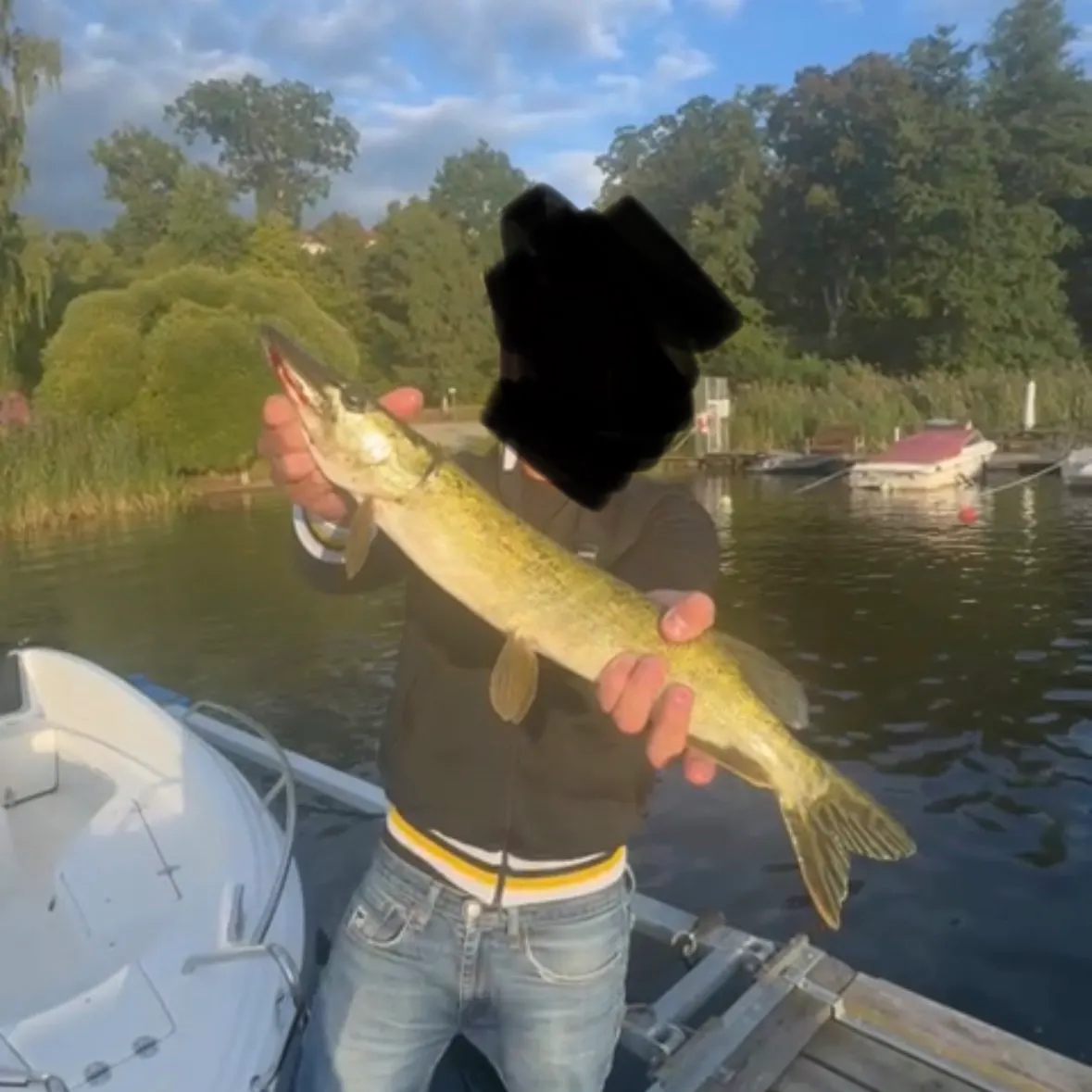 Northern pike caught on Fishbrain