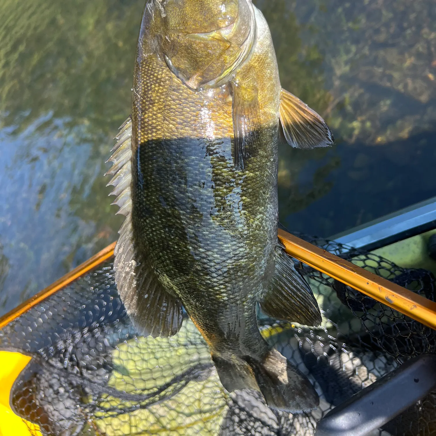 angler catch