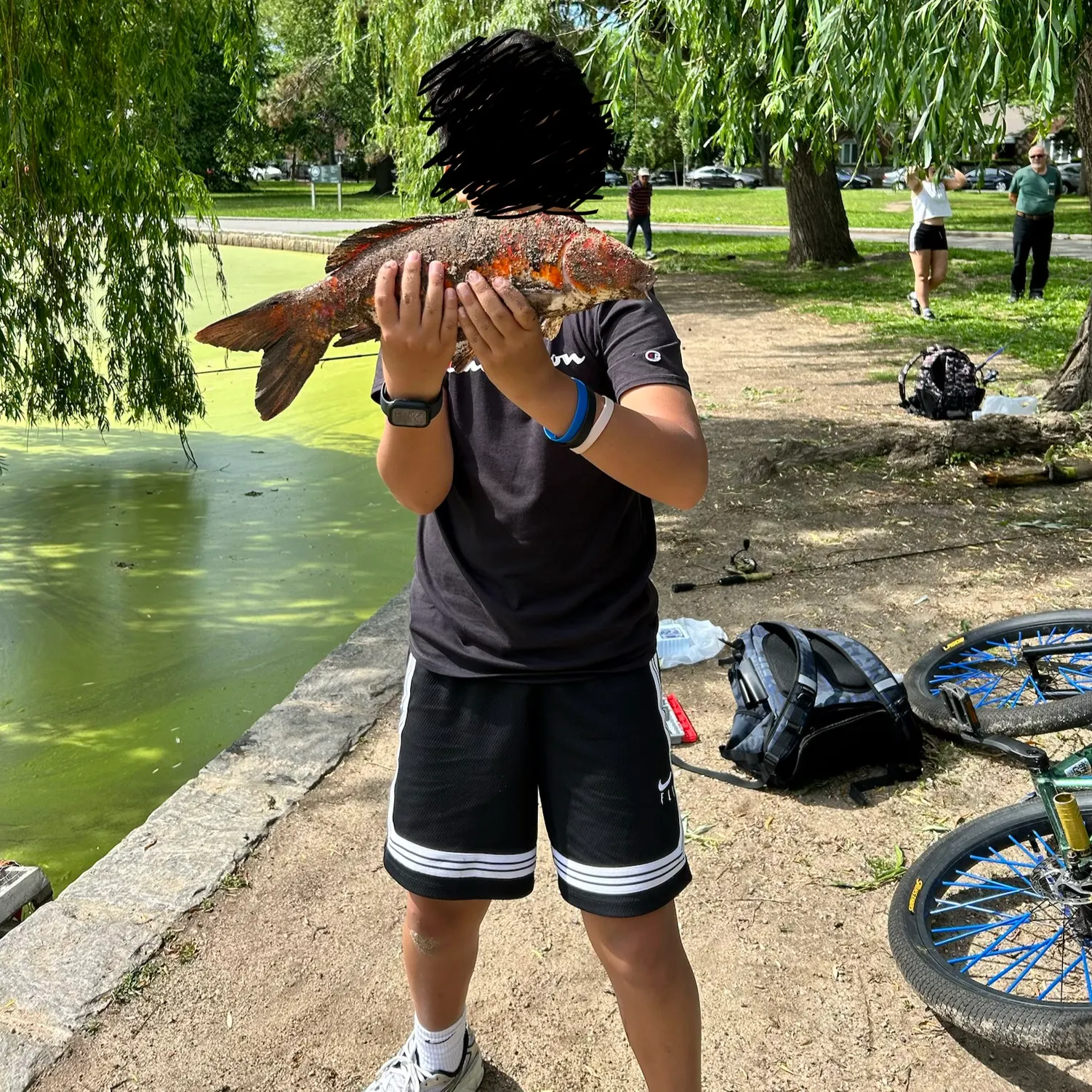 catch