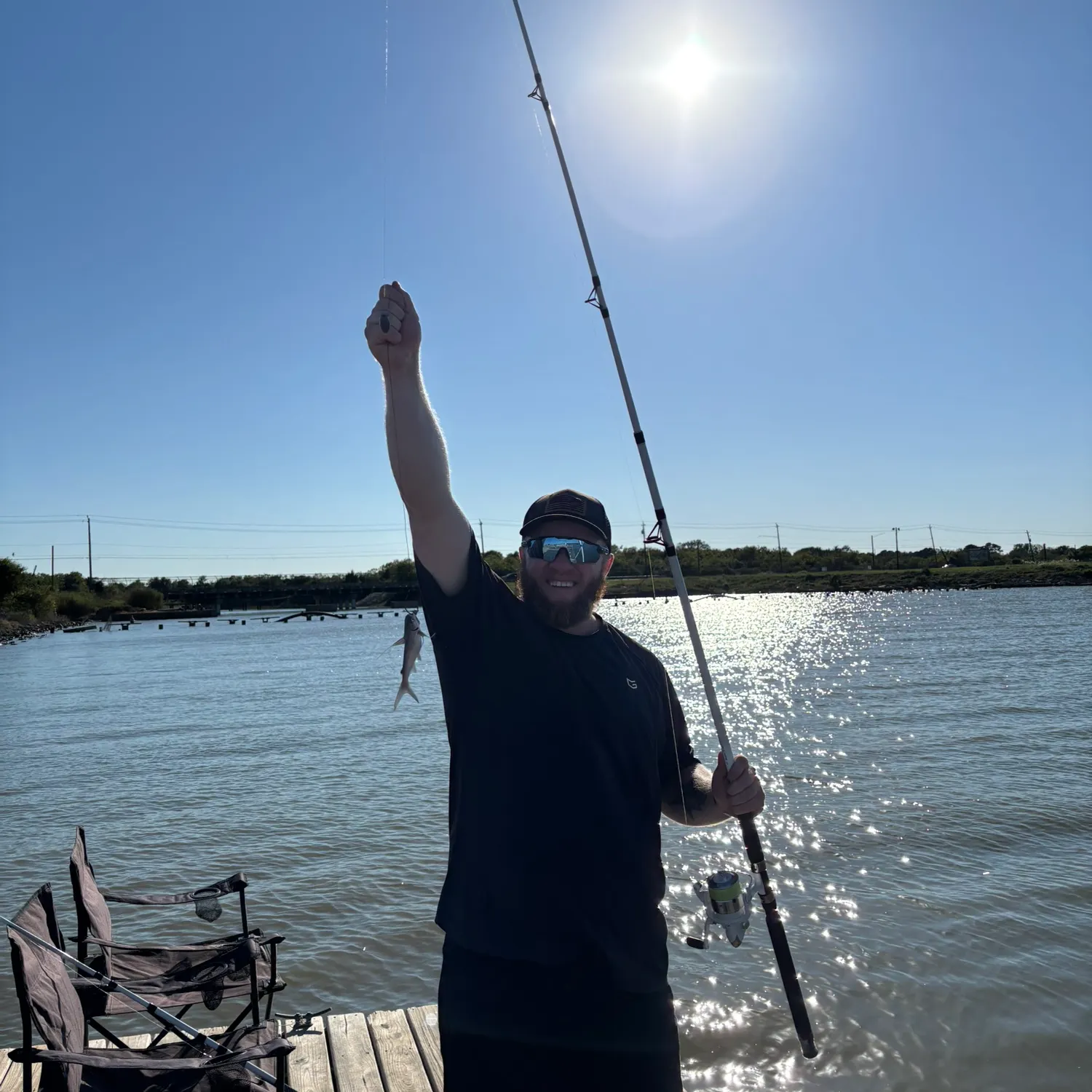 Gafftopsail sea catfish caught on Fishbrain