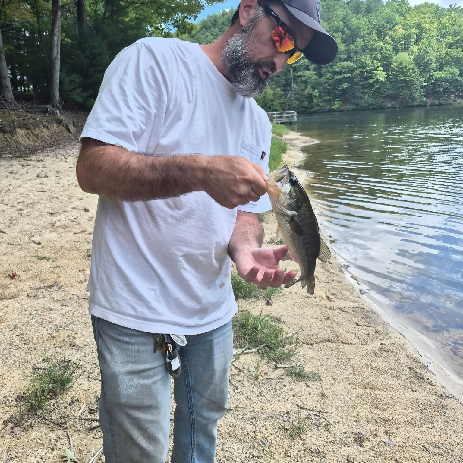 Largemouth bass caught on Fishbrain