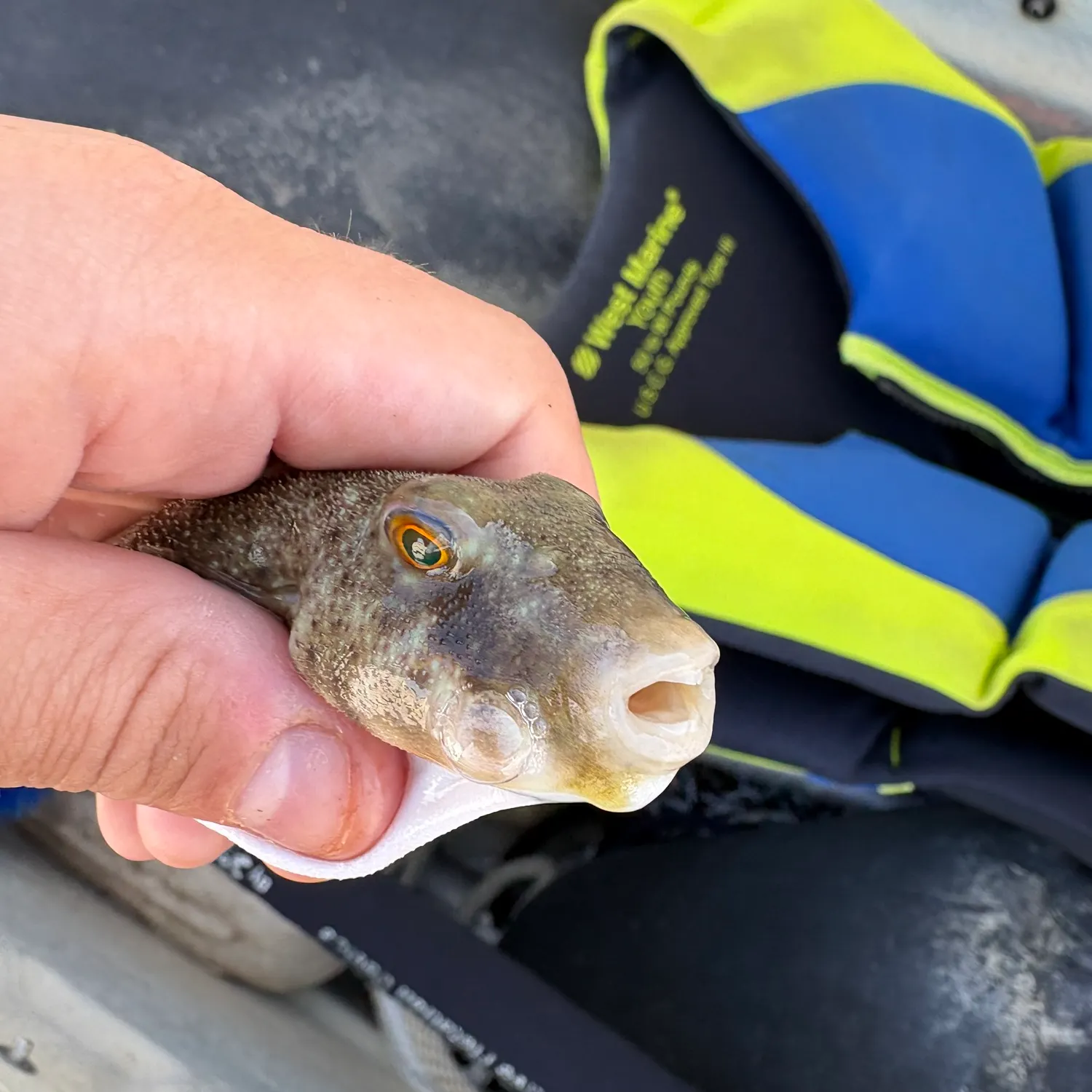 catch