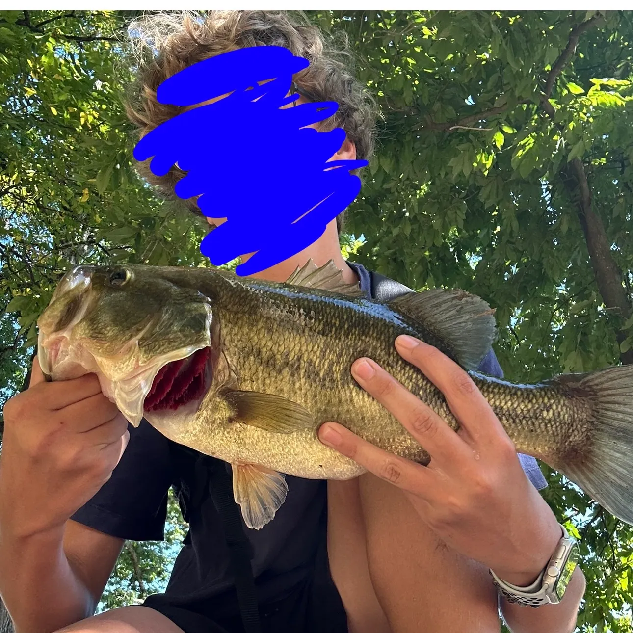 Largemouth bass caught on Fishbrain