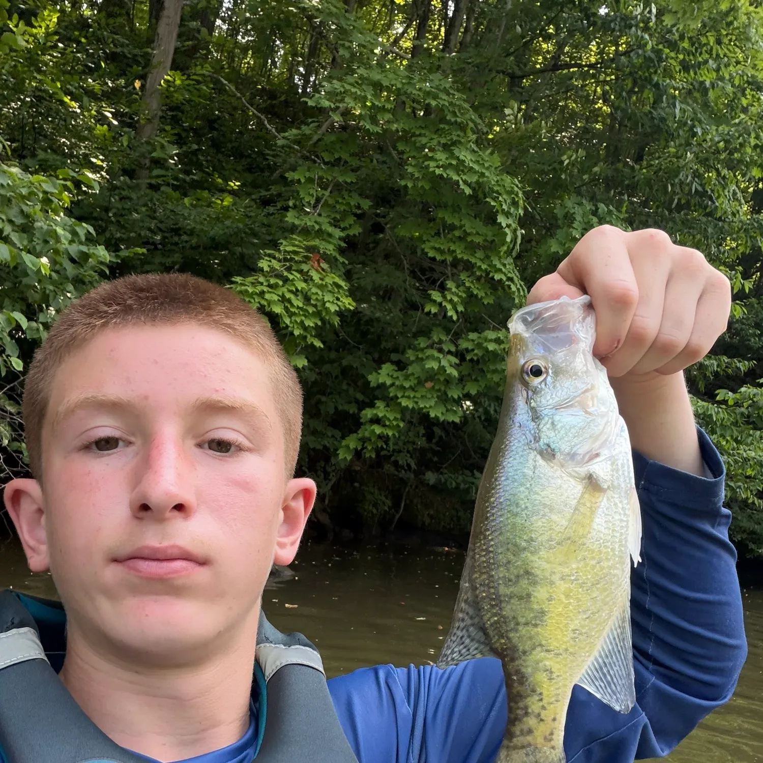 White crappie caught on Fishbrain